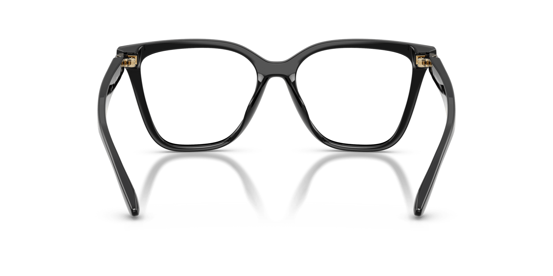 0EA4254U Injected Women Sunglasses
