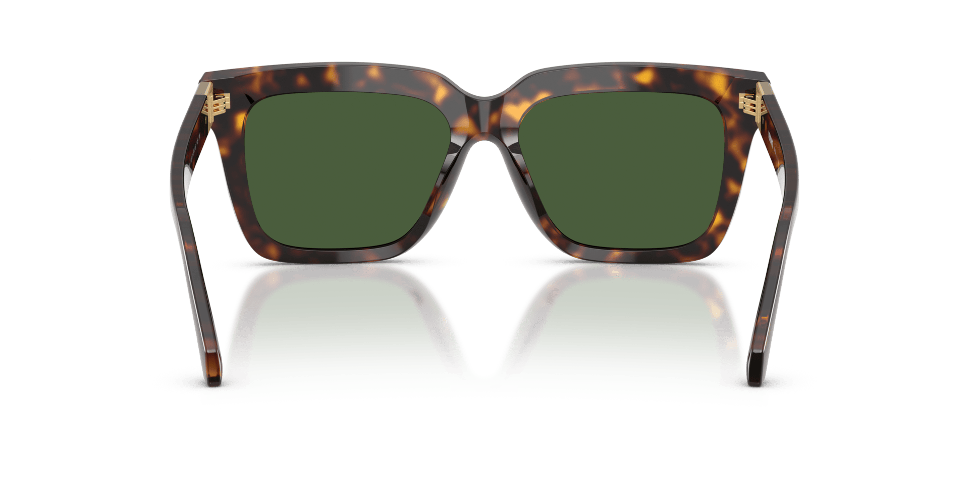 0VE4498 Acetate Women Sunglasses