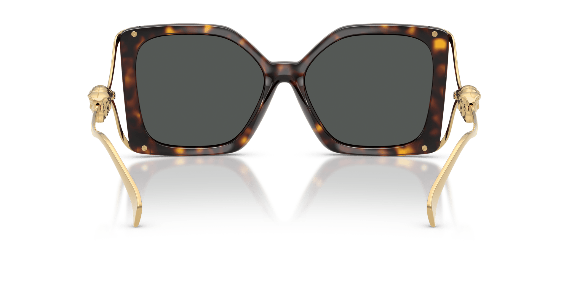 0VE4502U Injected Women Sunglasses