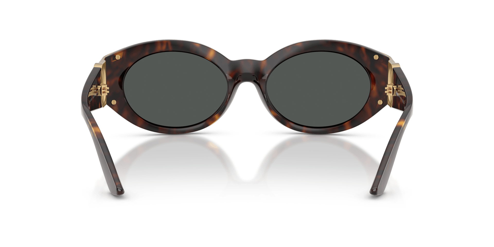 0VE4503U Injected Women Sunglasses