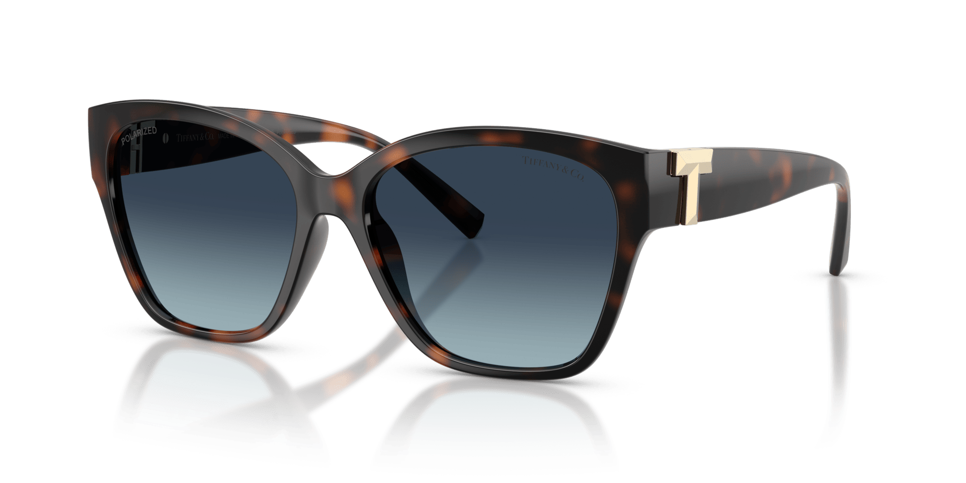 0TF4254U Injected Women Sunglasses
