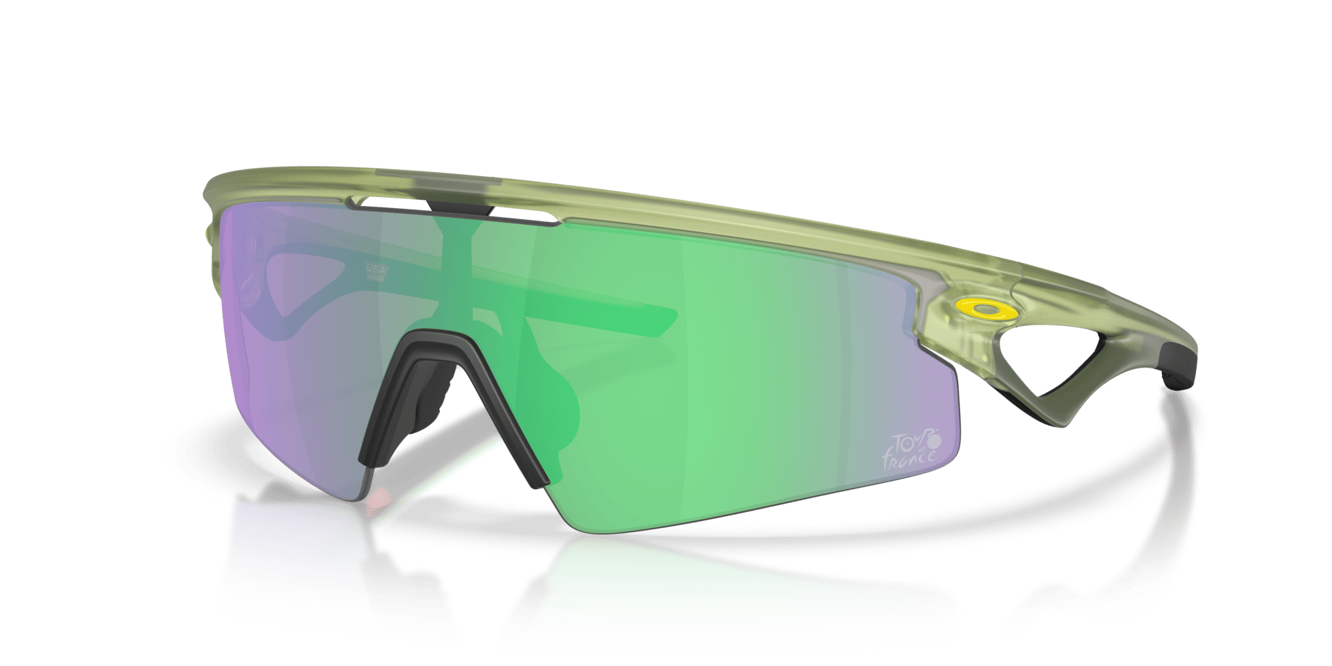0OO9531 Injected Unisex Sunglasses