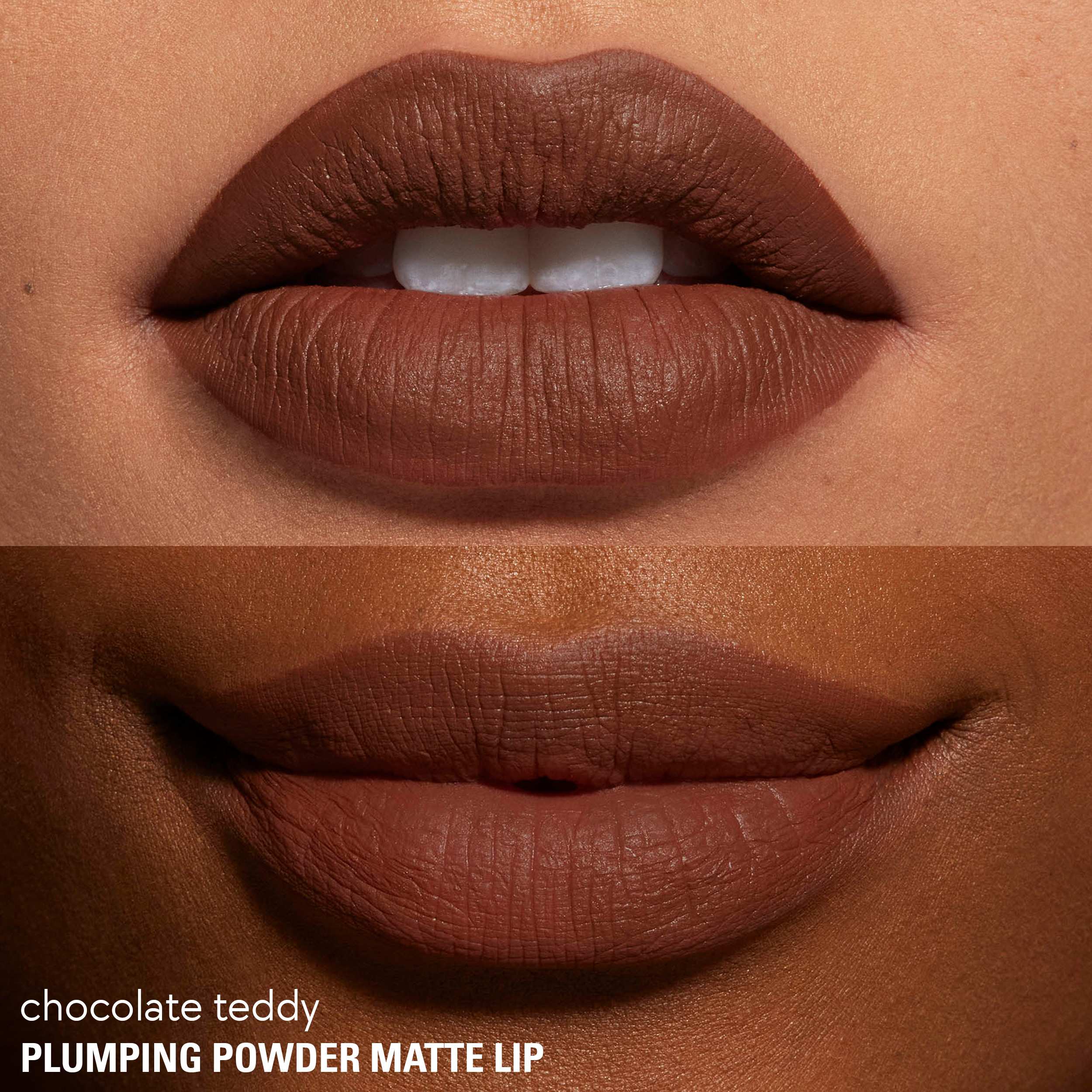 Plumping Powder Matte Lip • Chocolcate Teddy