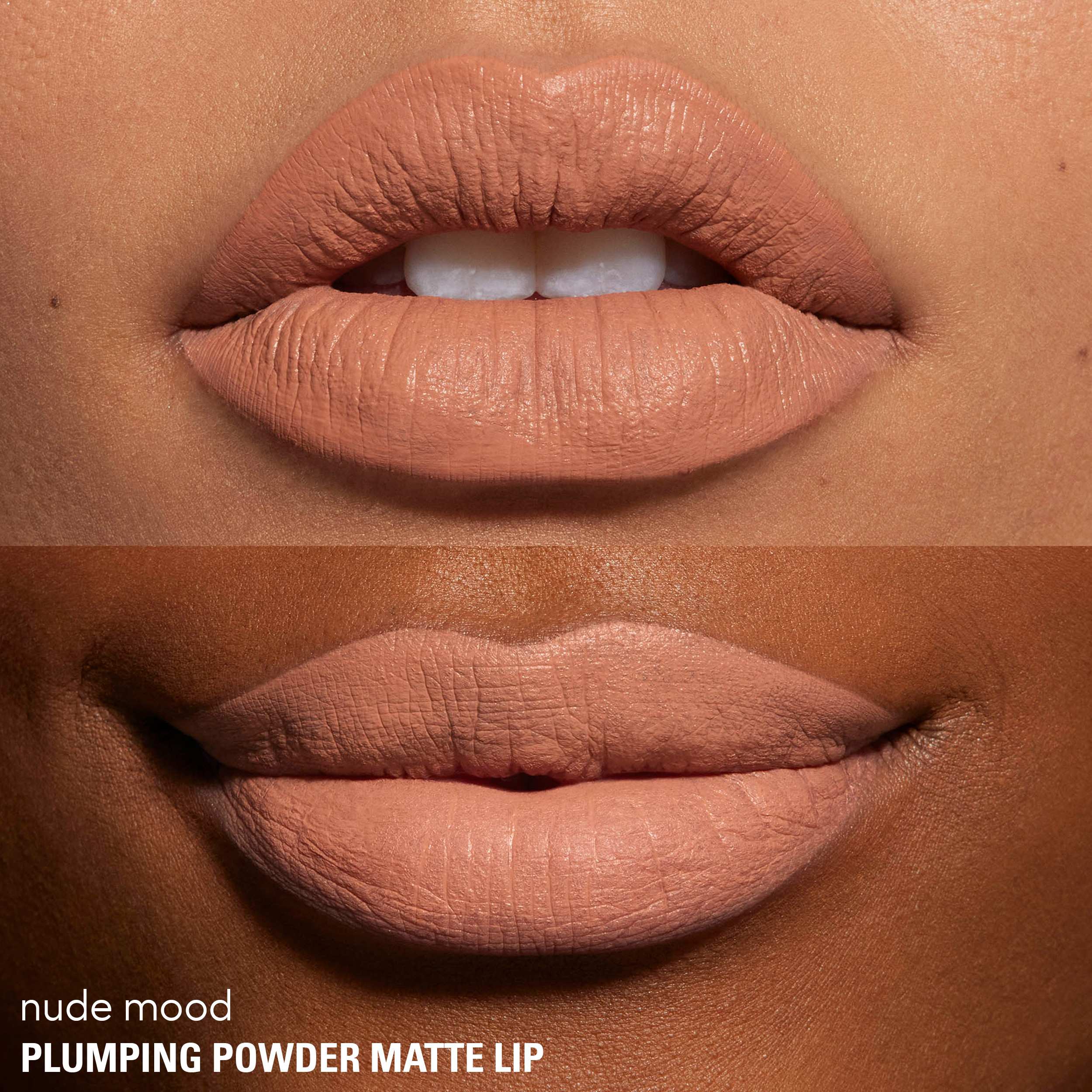 Plumping Powder Matte Lip • Nude Mood