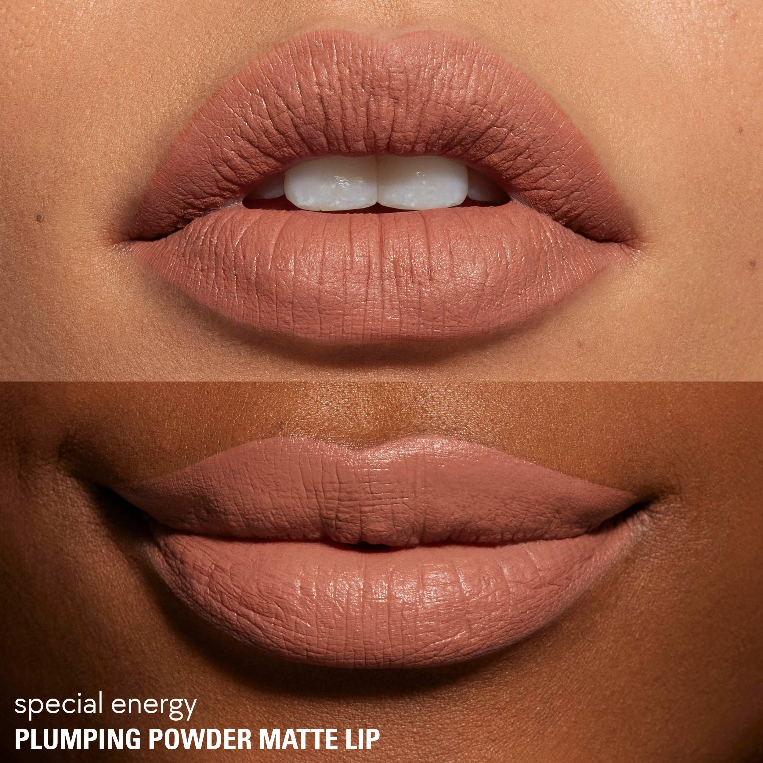 Plumping Powder Matte Lip • Special Energy
