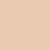 Skin Tint Blurring Elixir Foundation • 2.5N
