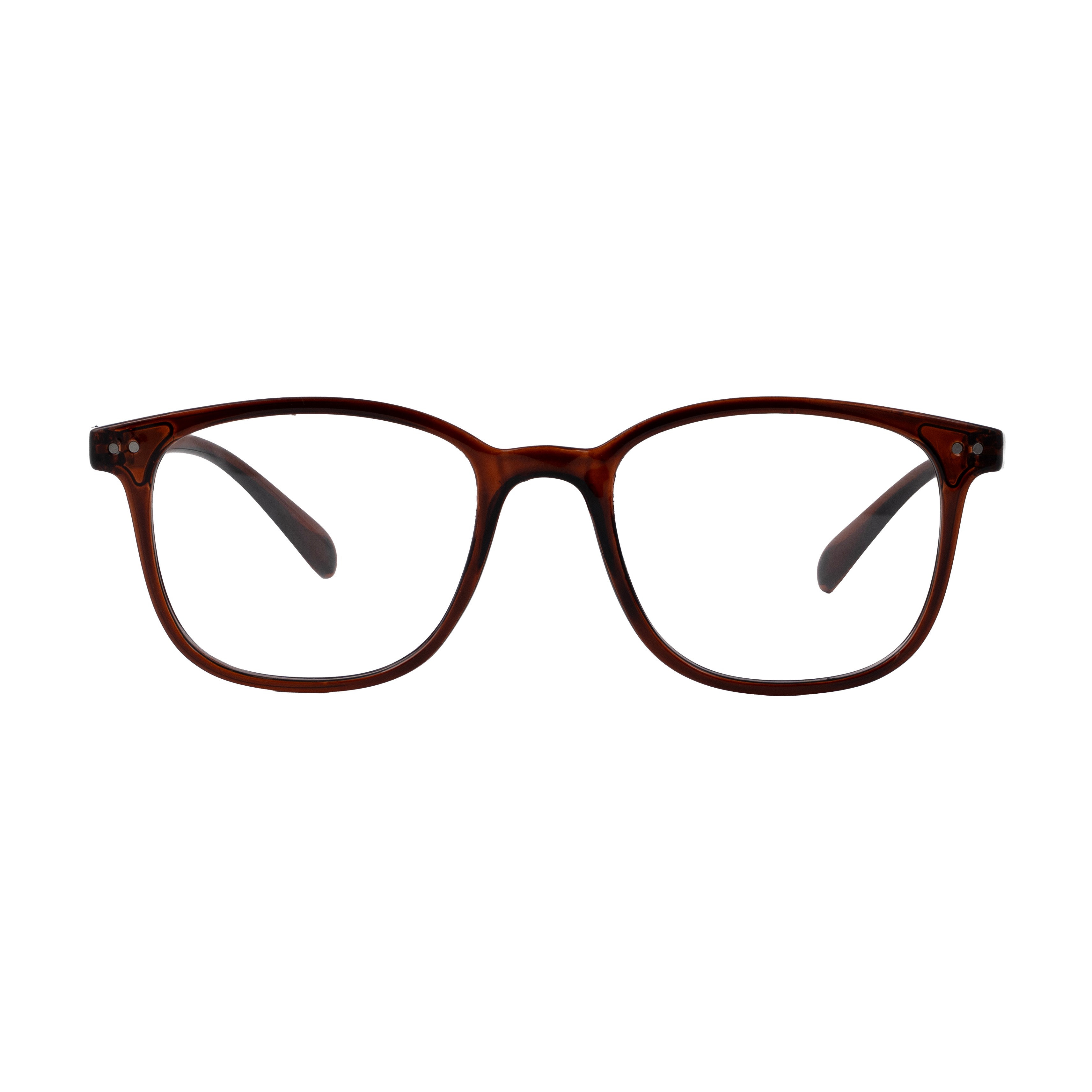 Brown Panto Computer Glasses for Women Screen Pro