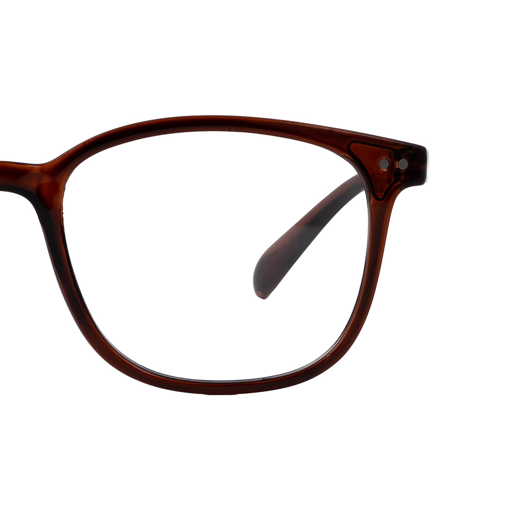 Brown Panto Computer Glasses for Women Screen Pro