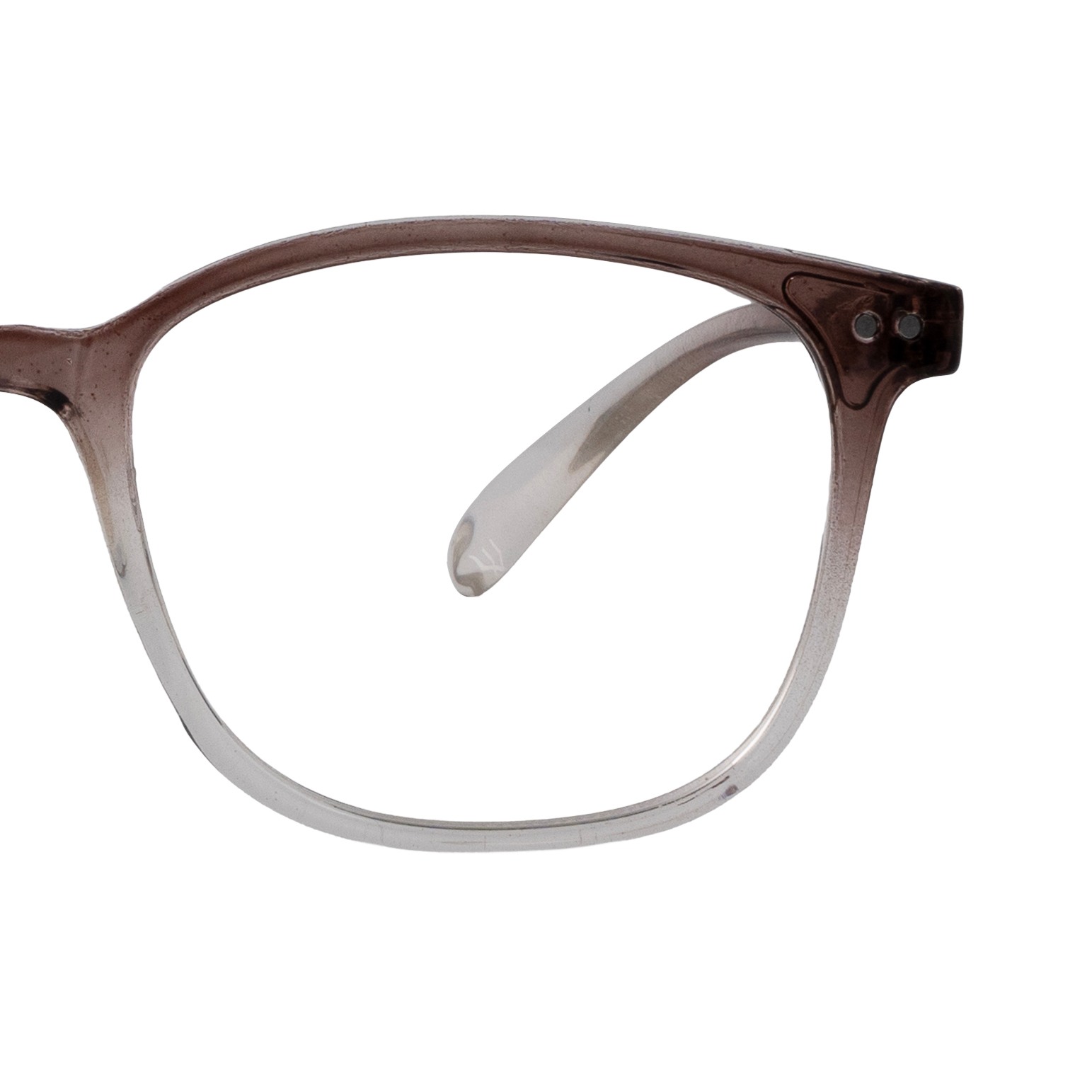 Brown Panto Computer Glasses for Women Screen Pro