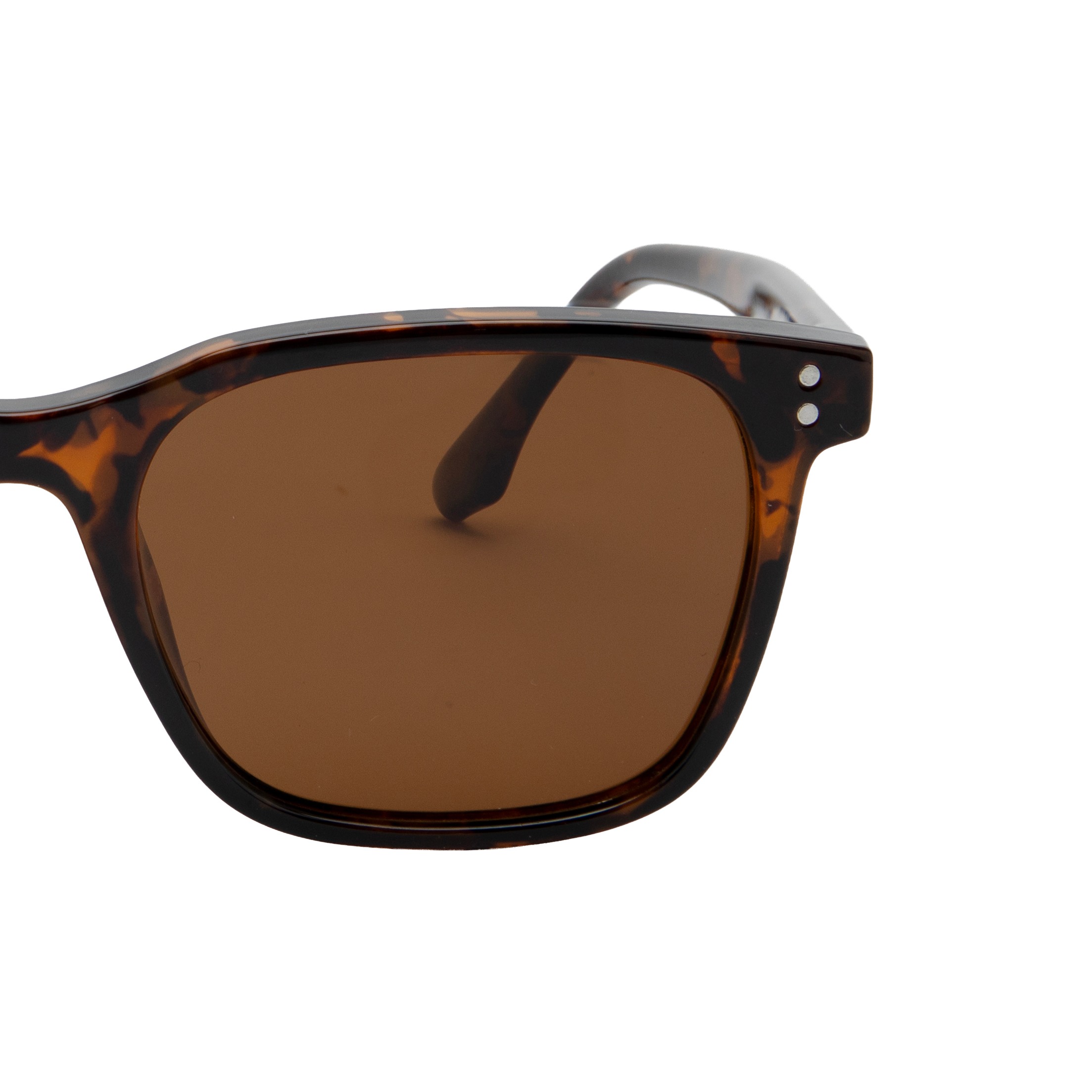 Brown Square Sunglasses for Women