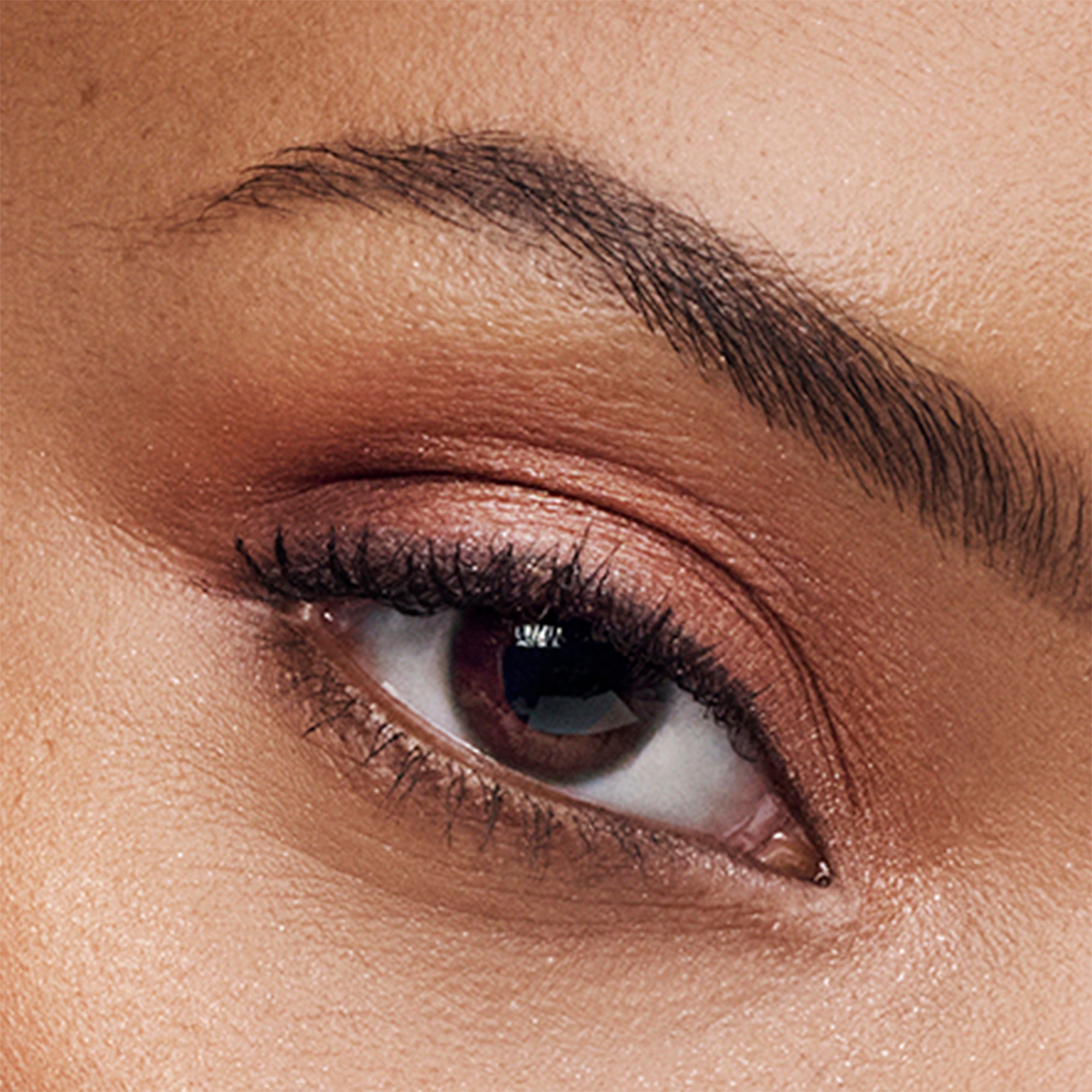 The Essential Eyeshadow Quad • Power Brunch