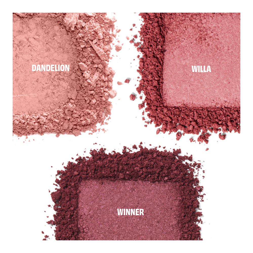 Cheek Score Blush Palette Mini (Holiday Limited Edition)