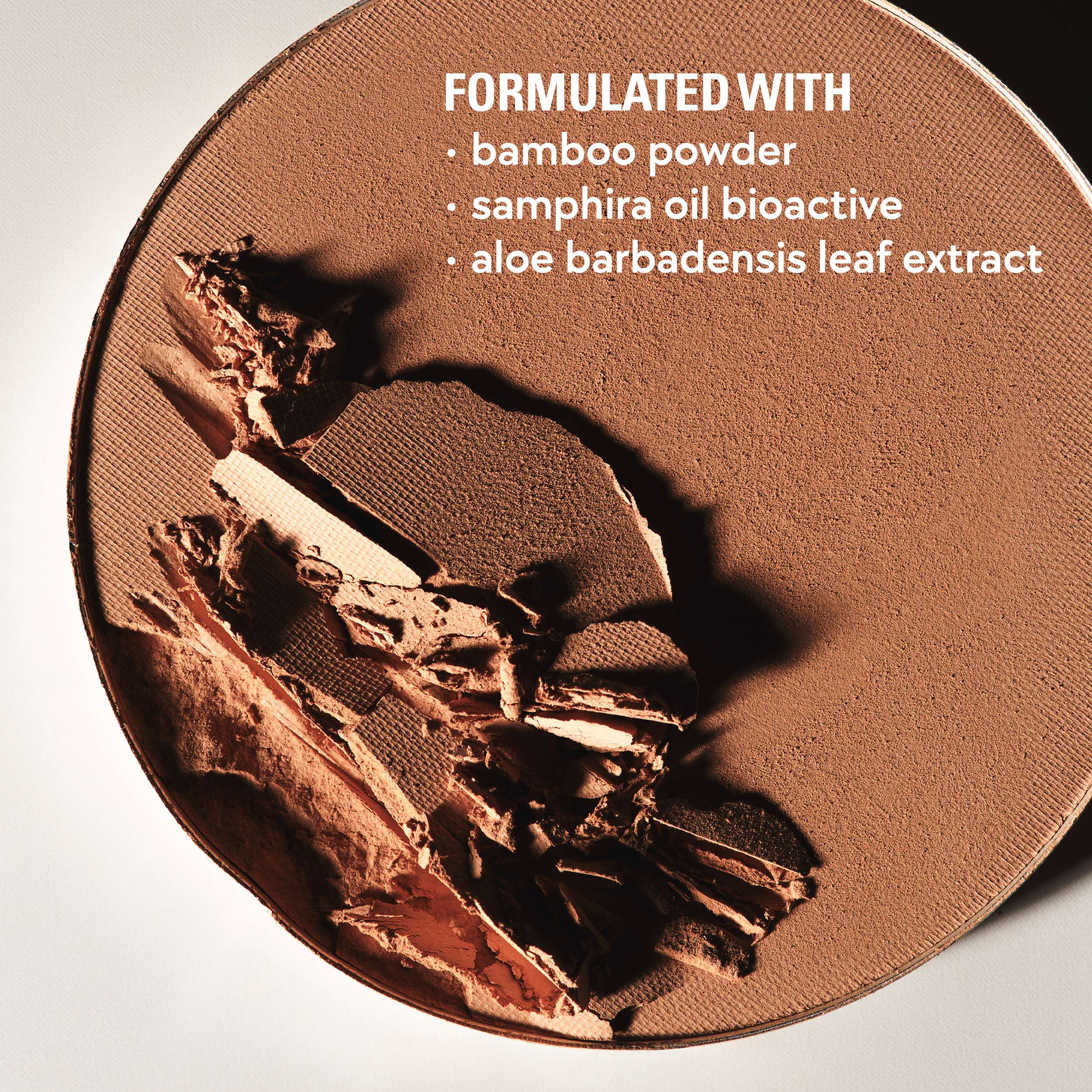 Natural Blur Powder Foundation • 2WN
