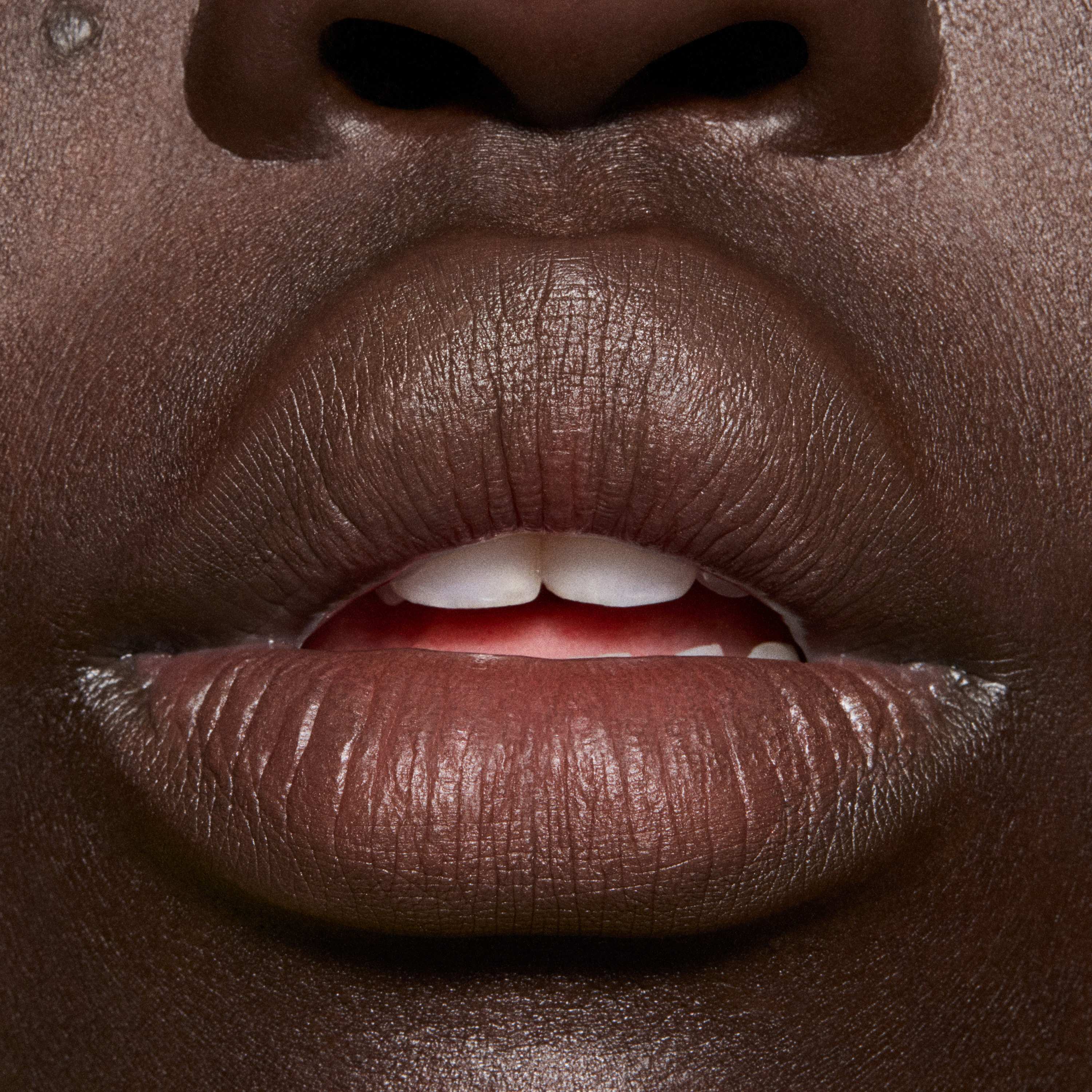 Powder Kiss Hazy Matte Lipstick • Chestnut
