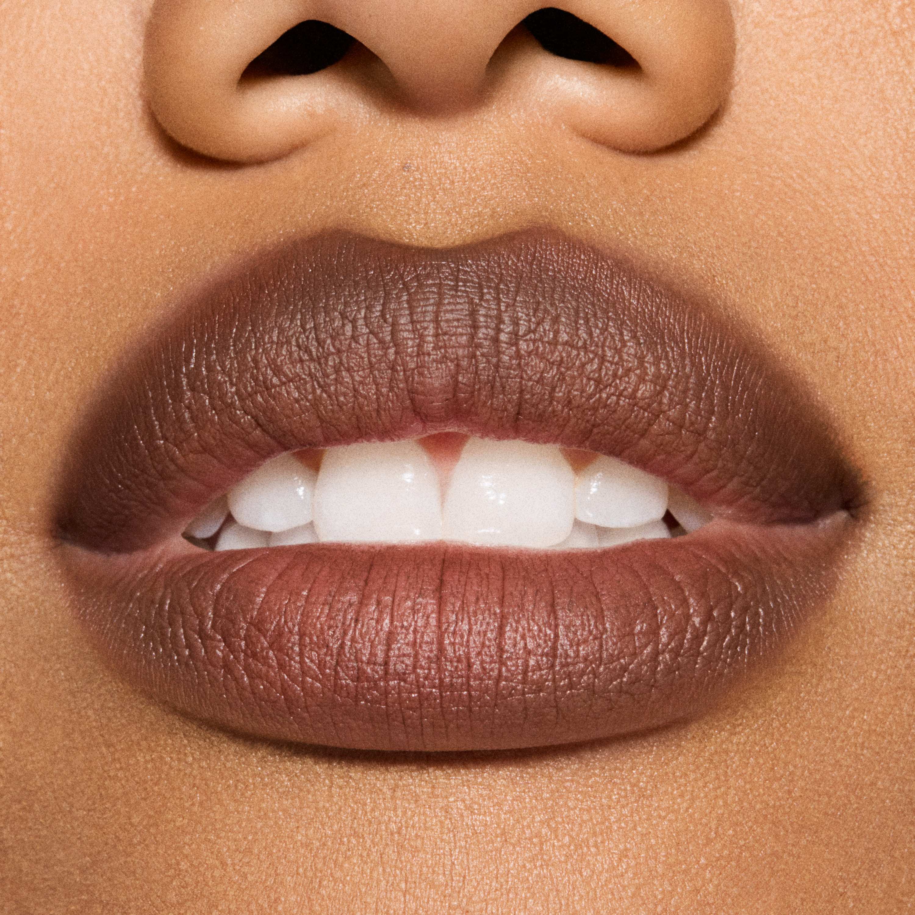 Powder Kiss Hazy Matte Lipstick • Chestnut