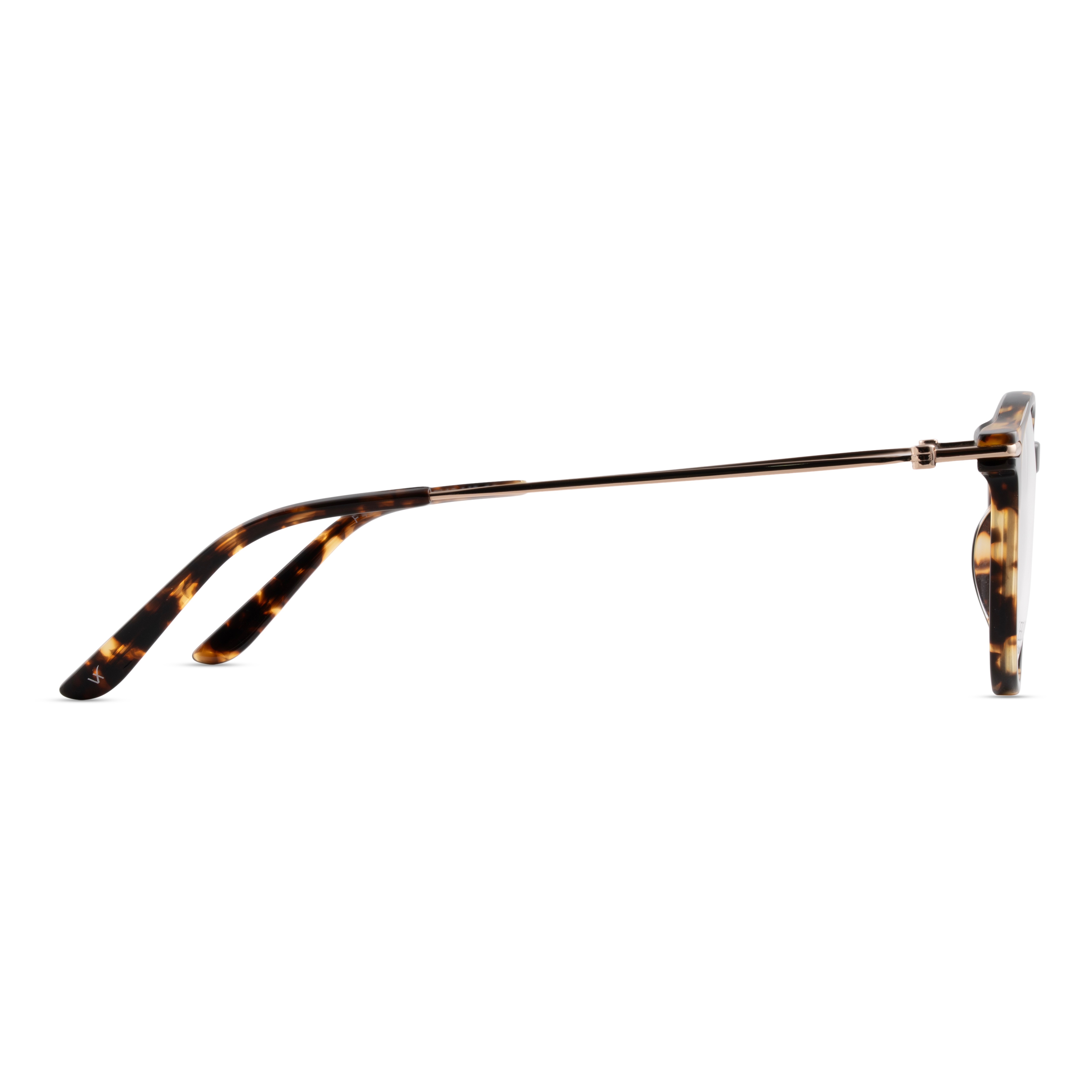 Brown Square Frames for Women