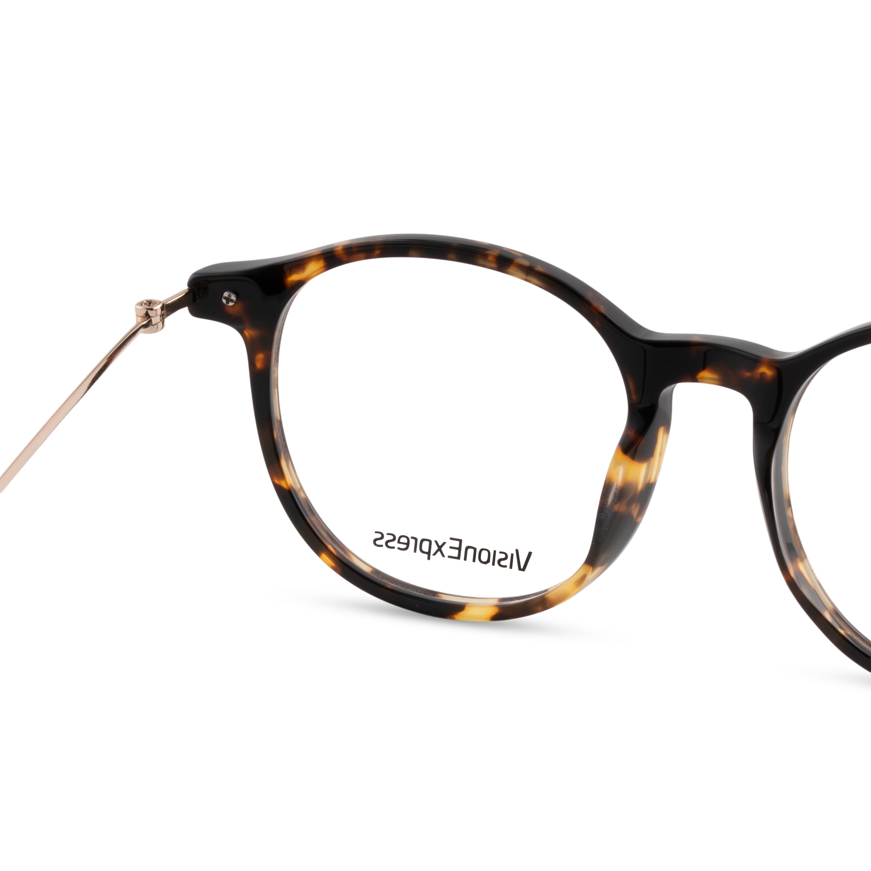 Brown Square Frames for Women