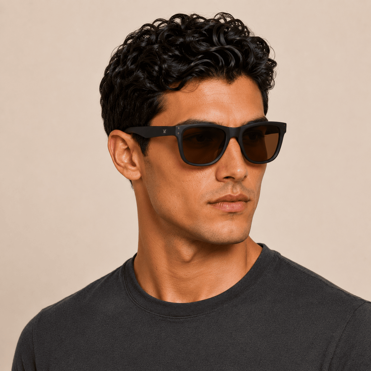 Brown Wayfarer Sunglasses for Men