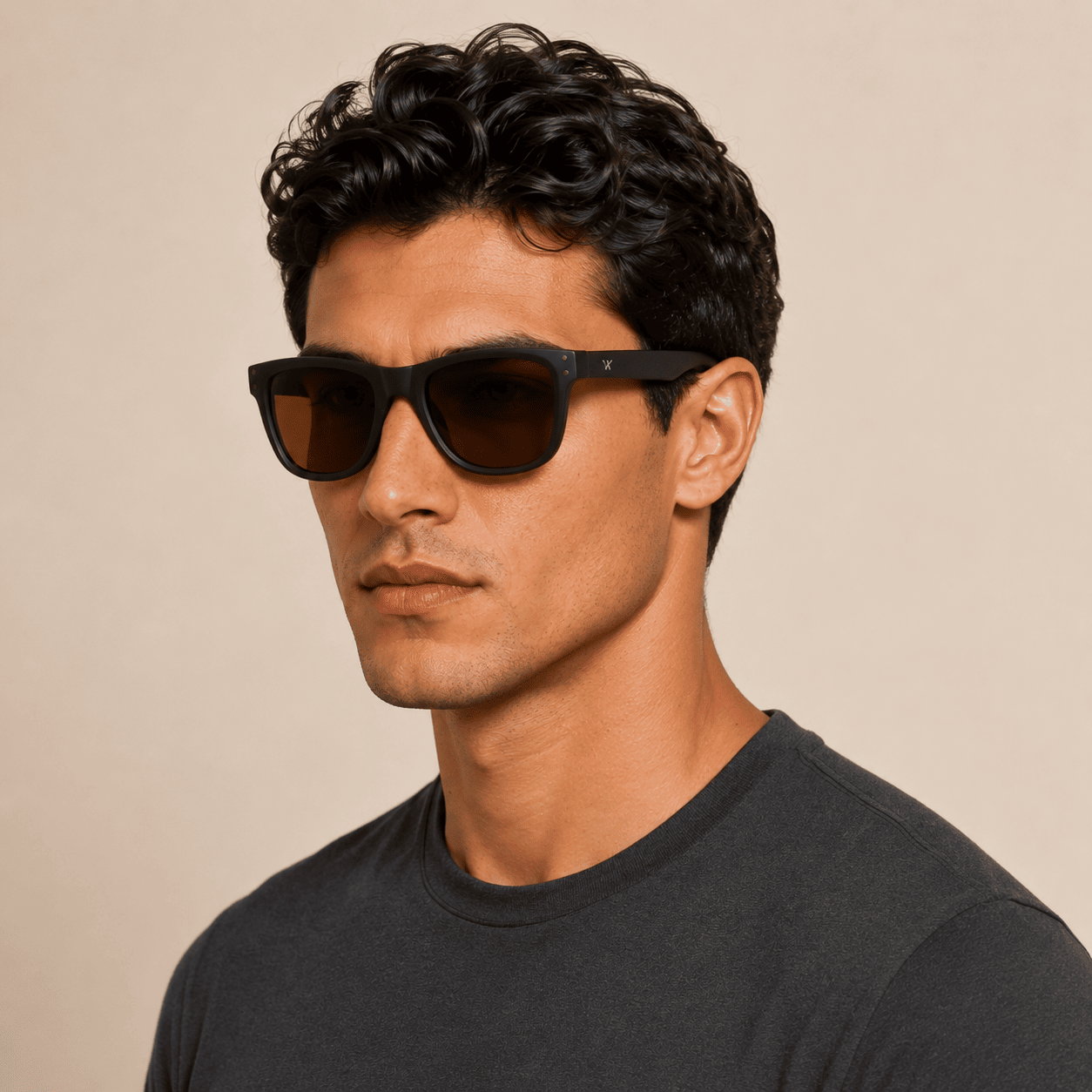 Brown Wayfarer Sunglasses for Men