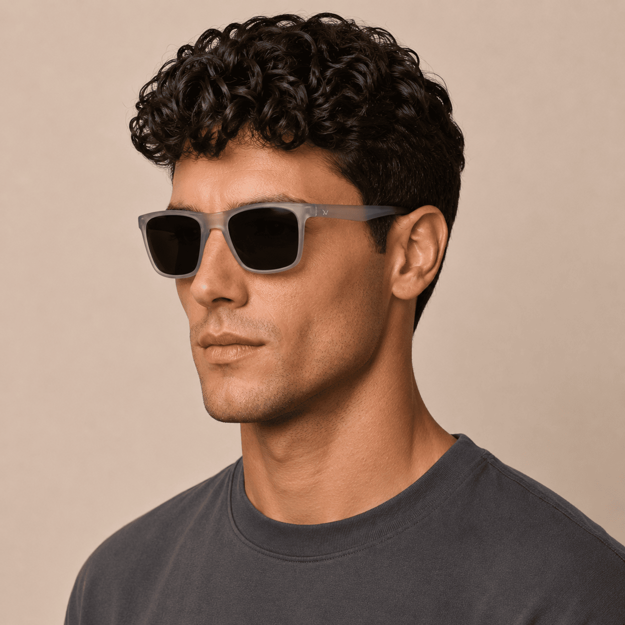 Grey Wayfarer Sunglasses for Men