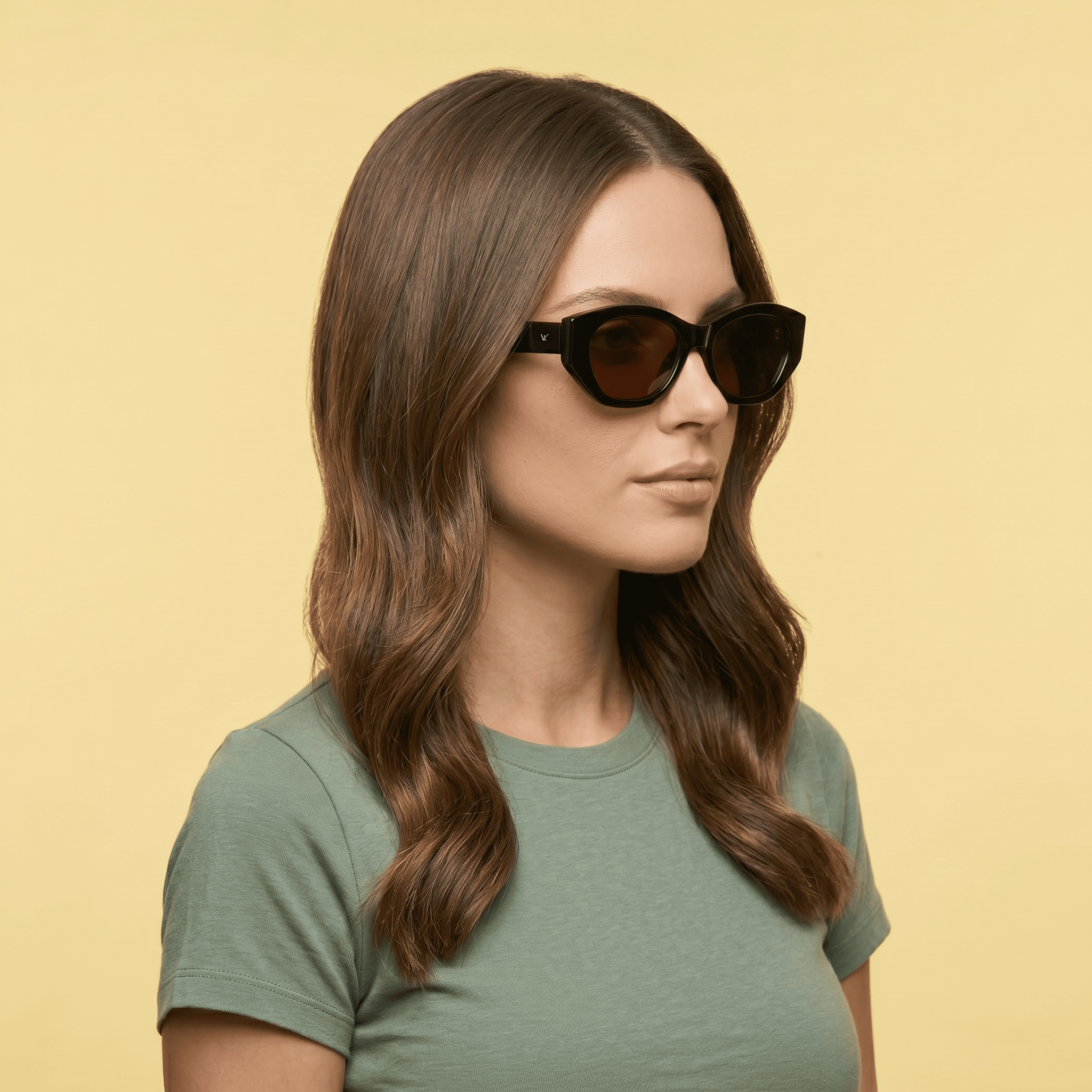 Black Cat Eye Sunglasses for Women