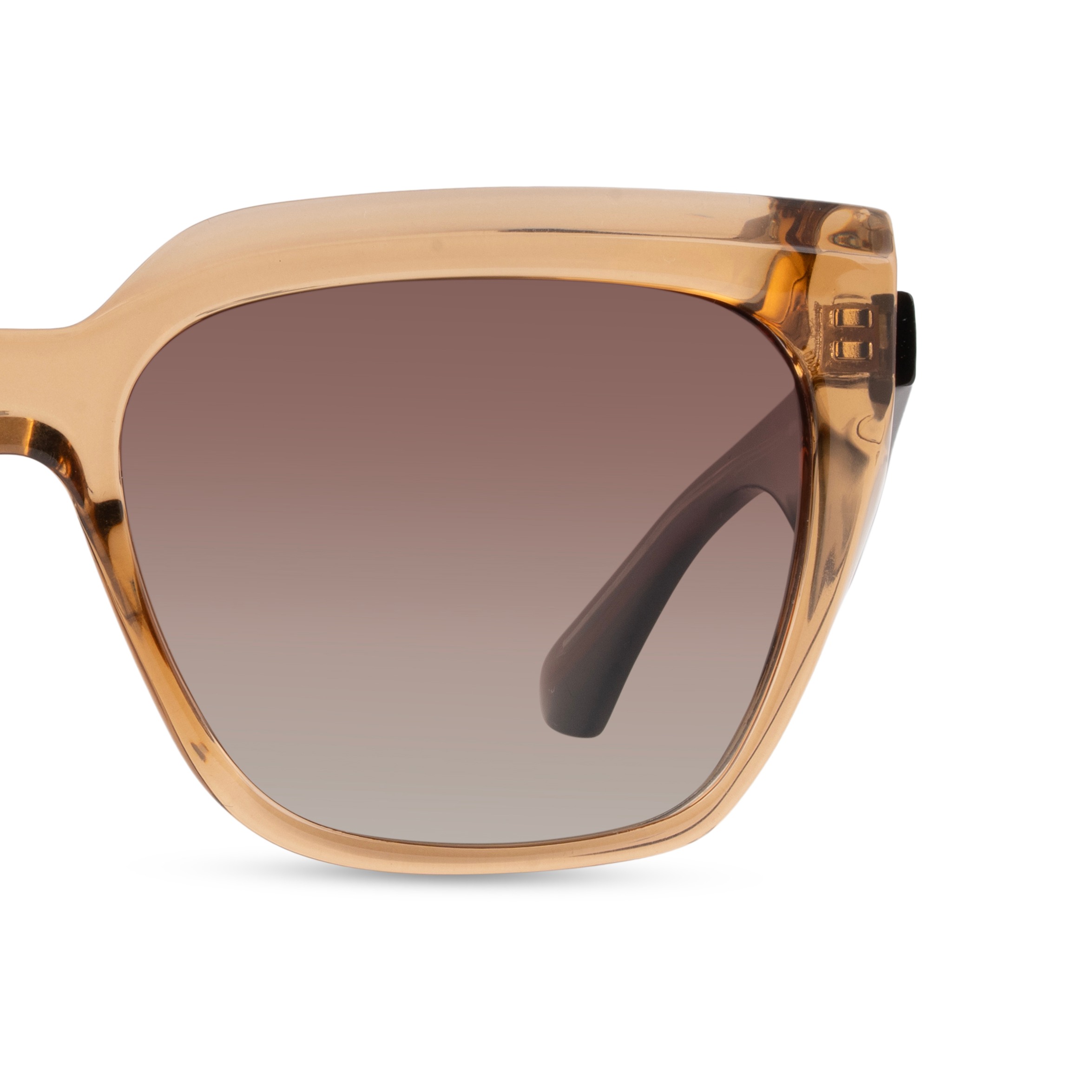 Brown Oval Sunglasses for Women