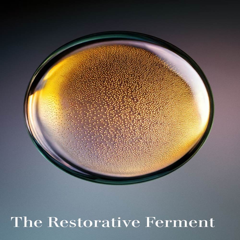 The Lip Treatment • Rose
