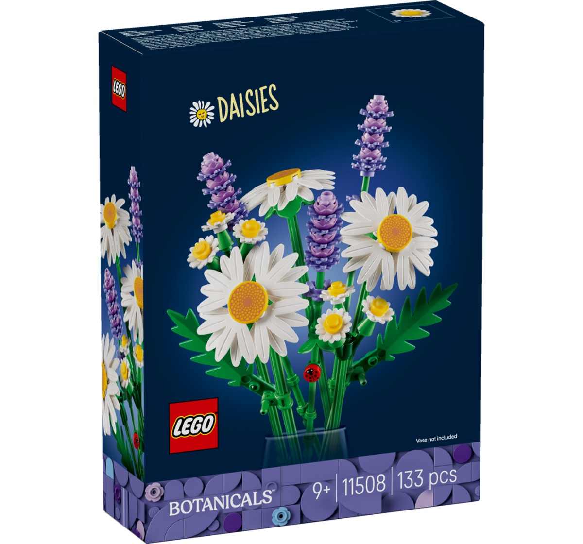 ※Daisy 55-african-daisy-dimorphotheca