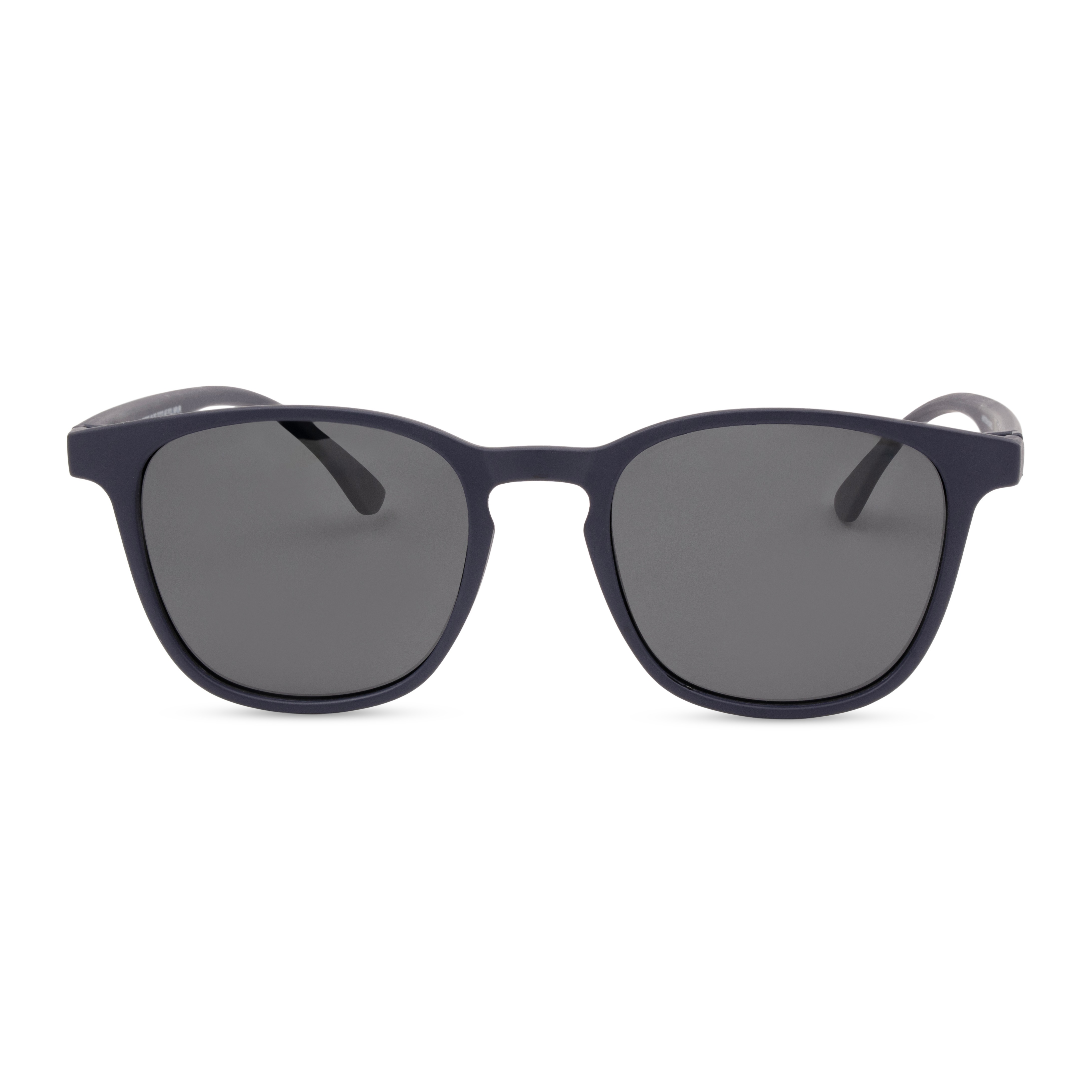 Purple Panto Sunglasses for Men