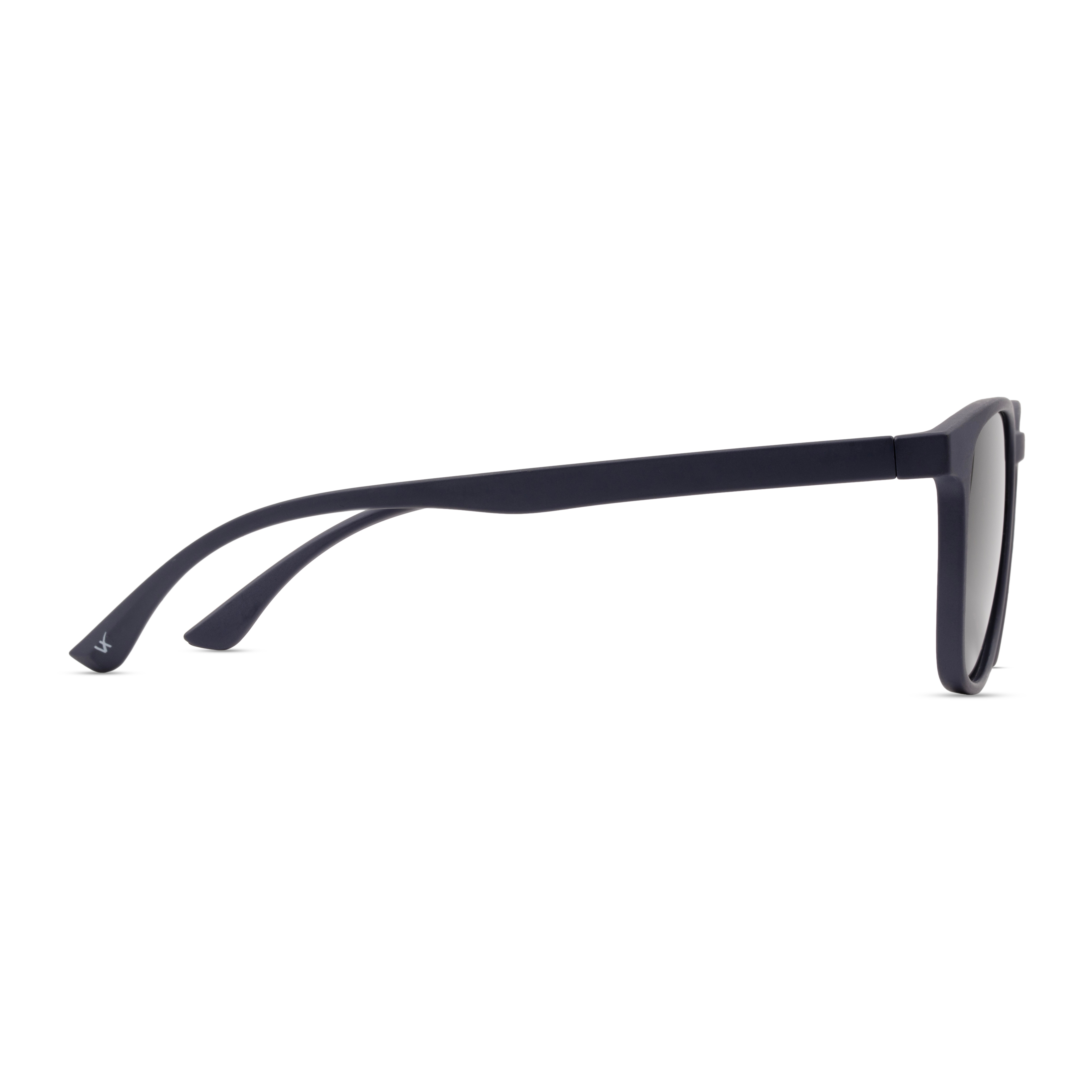 Purple Panto Sunglasses for Men