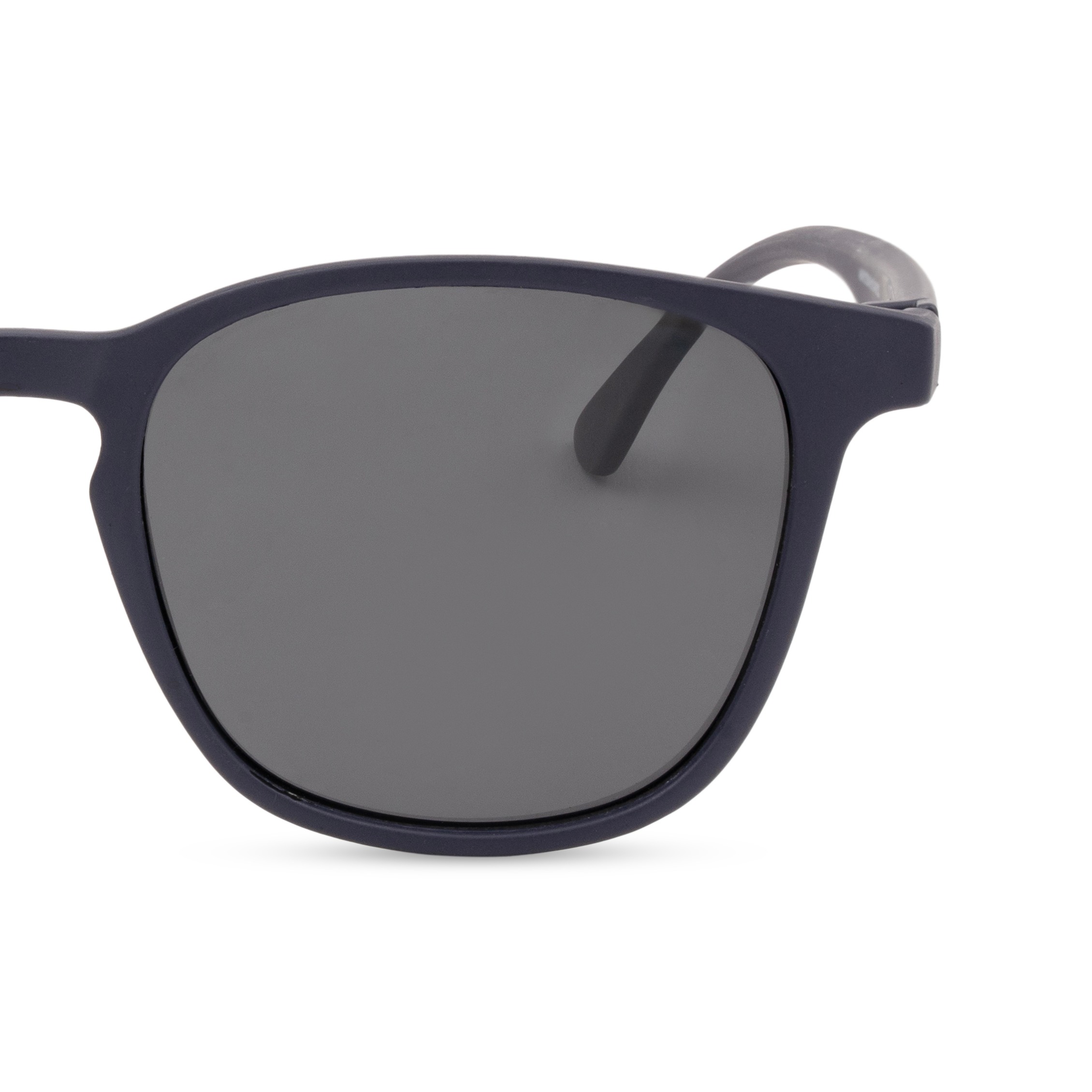 Purple Panto Sunglasses for Men