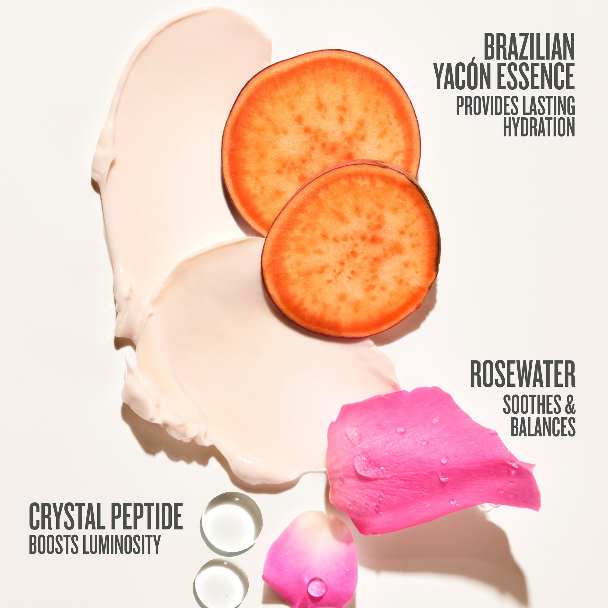 Rosa Charmosa™ Dewy Body Cream • 240ml