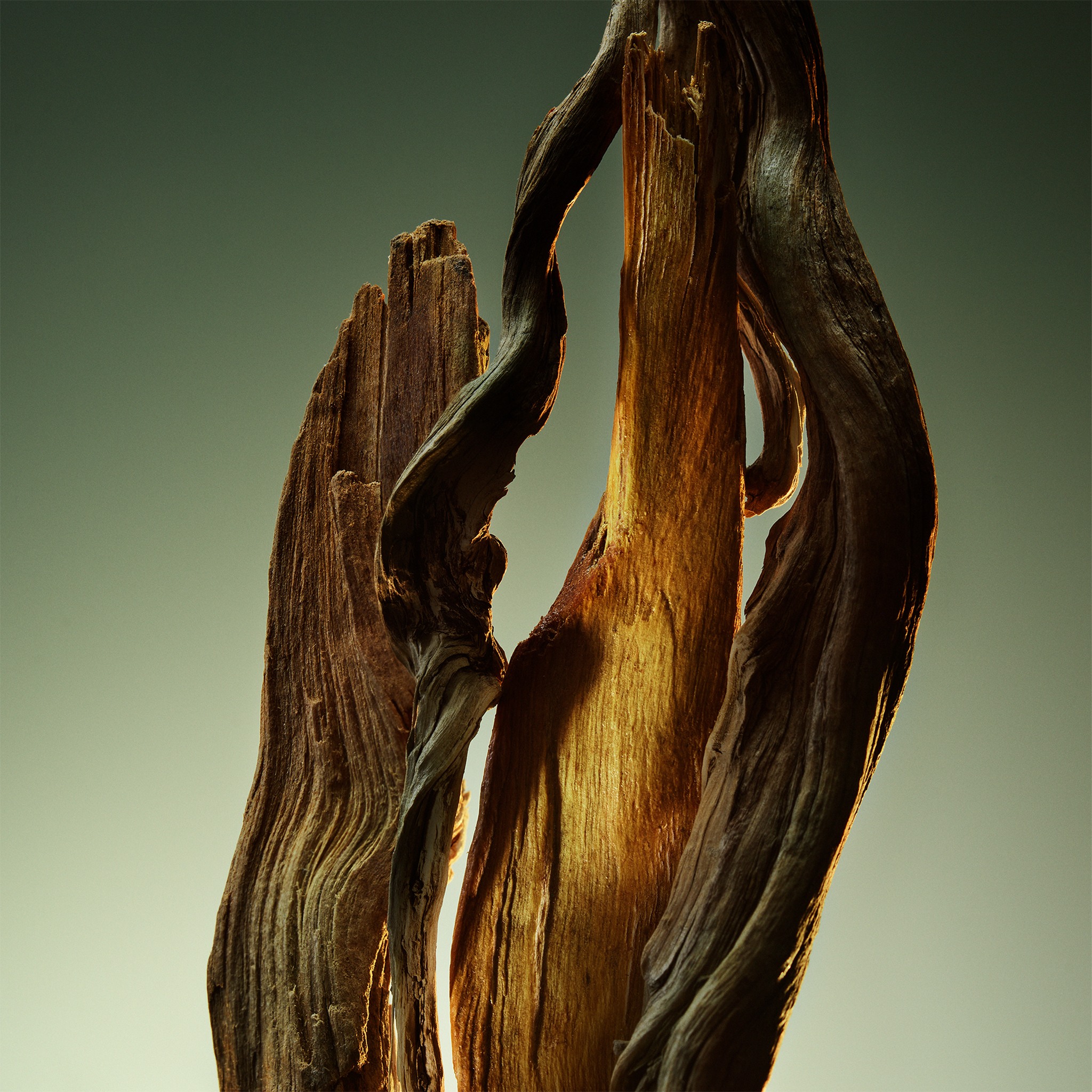 Man Wood Essence Parfum • 60ml