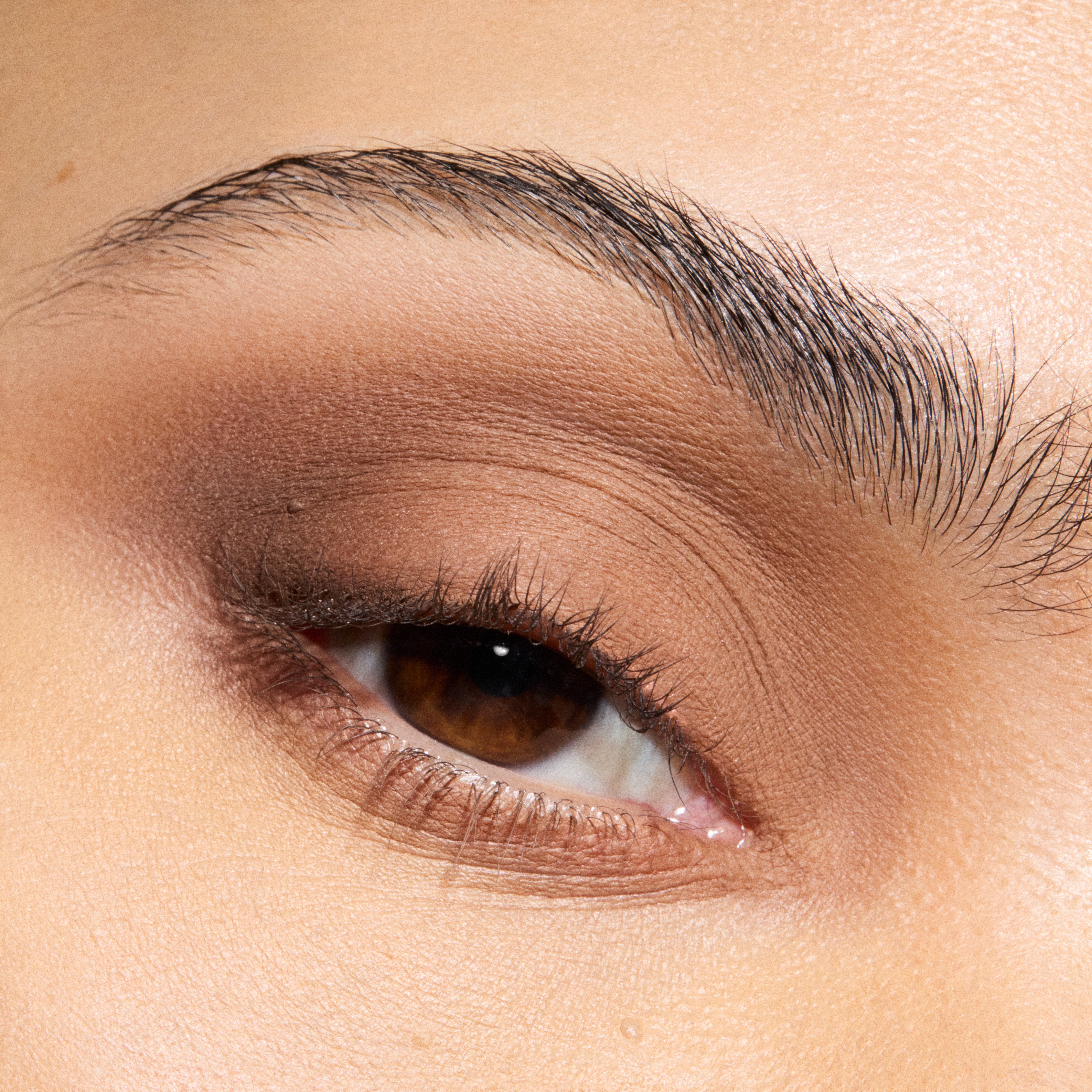Matte Liquid Eye Shadow • Hodgepodge