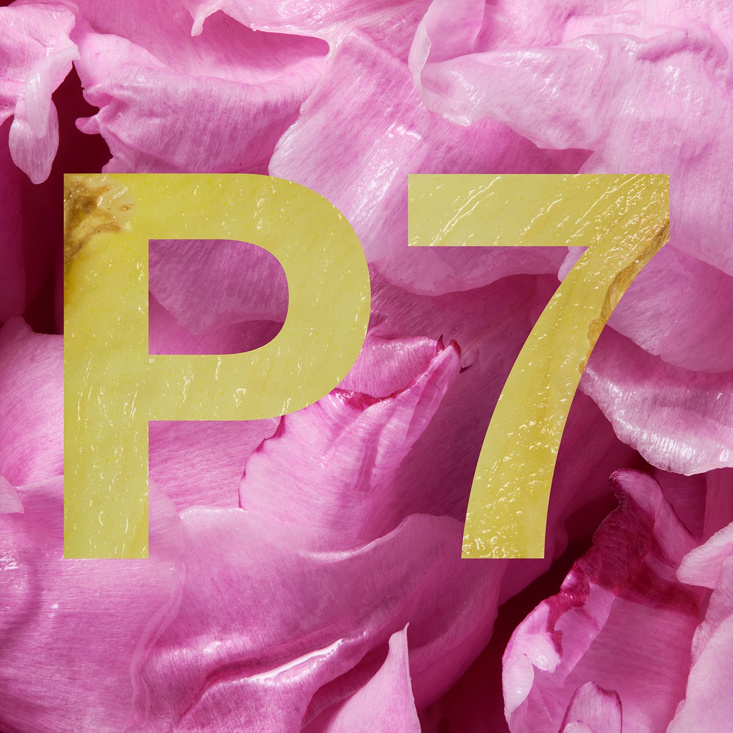 Hydrating Hand Cream • Peony + Ginger