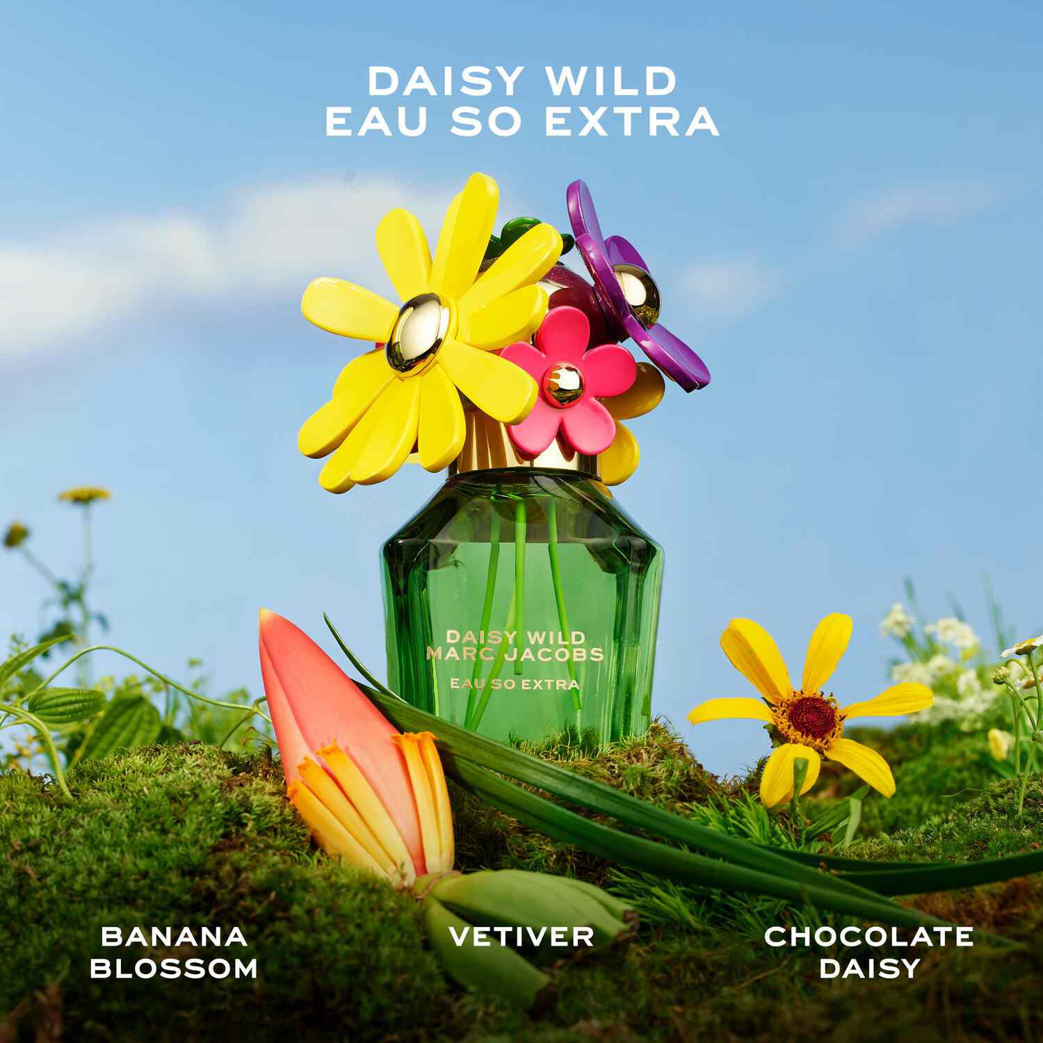 Daisy Wild Eau So Extra Eau De Parfum for Women • 10ml