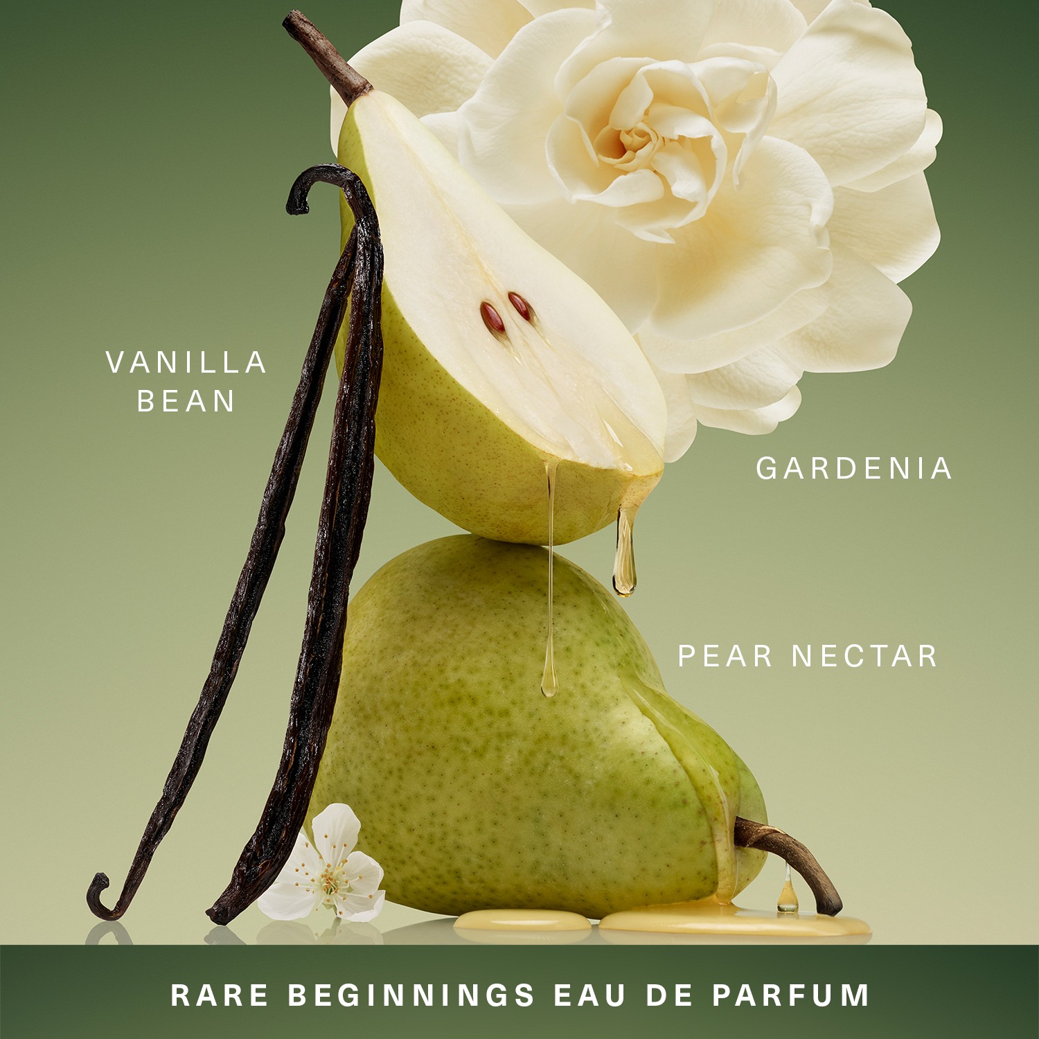 Rare Beginnings Eau De Parfum • 50ml