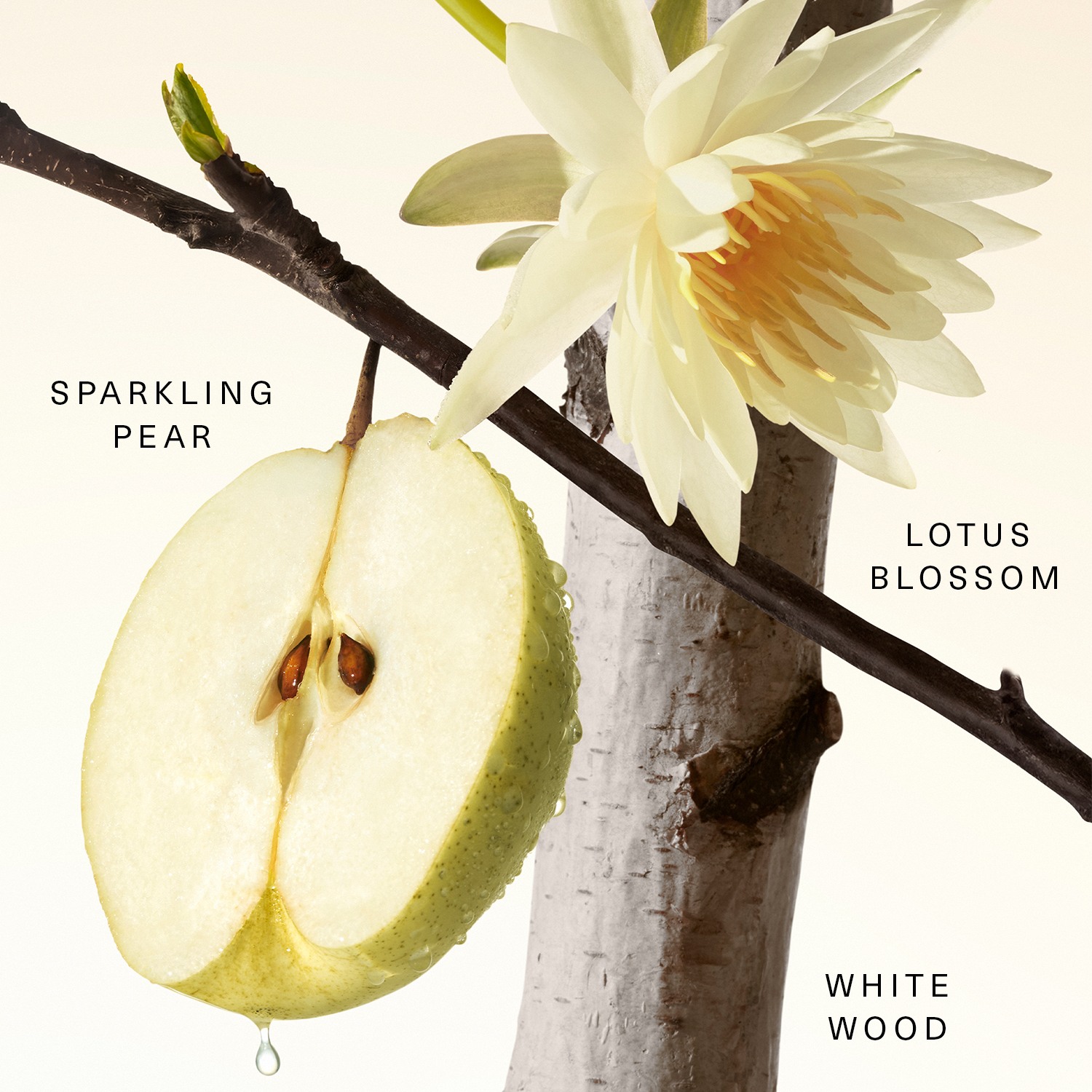 Fragrance Layering Balm • Fruity Pear