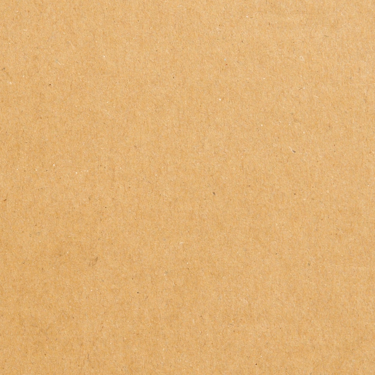 MUJI | PULP BOARD BOX / CARDBOARD BOX