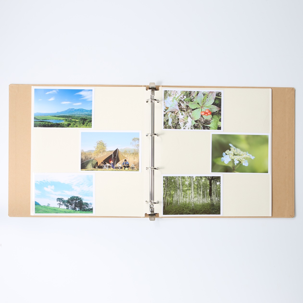 RECYCLED FREE PASTEBOARD