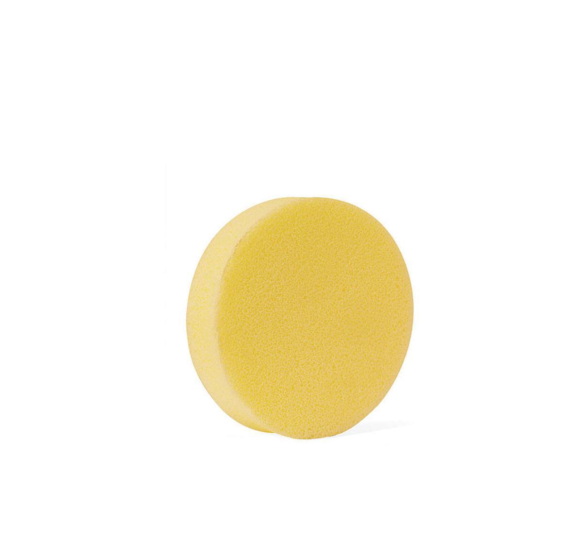 Yellow Bath Sponge