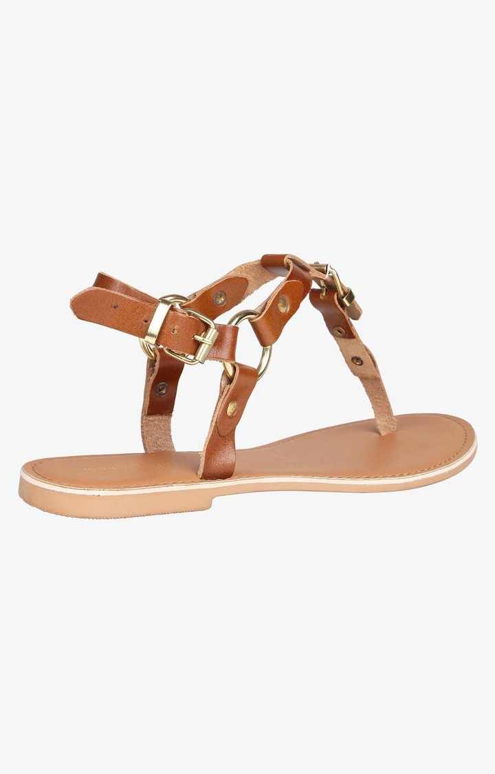West Brown Flats