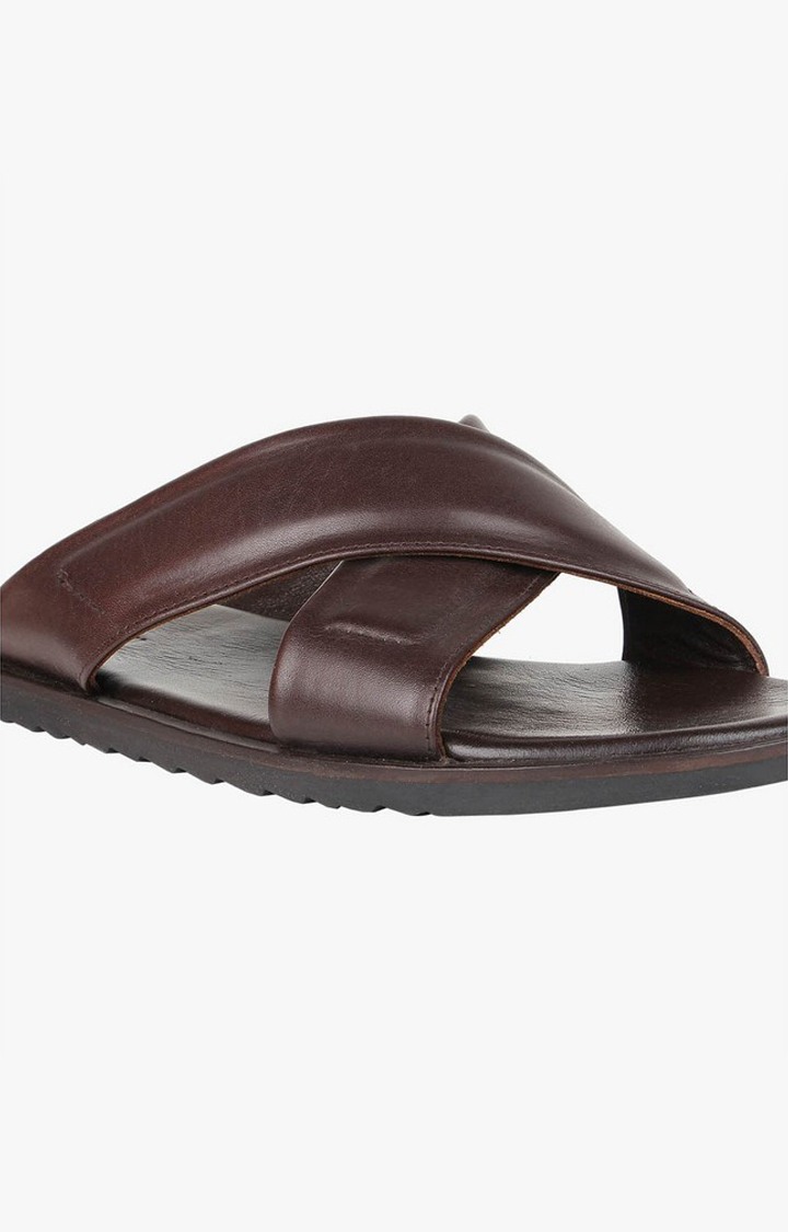 Disco Brown Sandals & Flip Flops