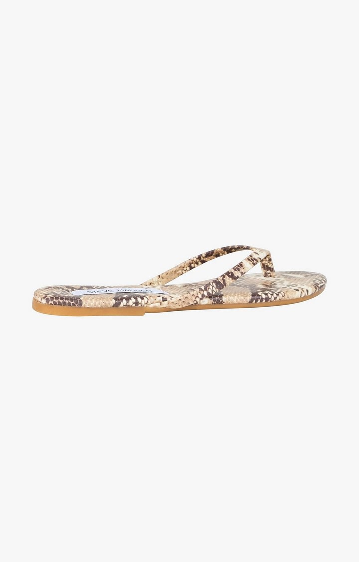 Beach Natural Flats