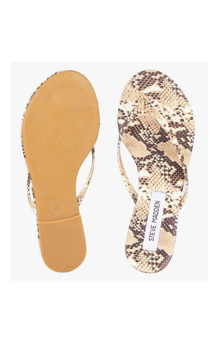Beach Natural Flats