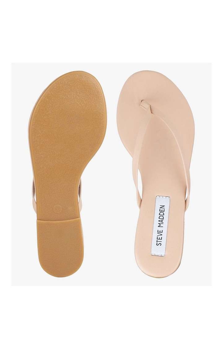 Beach Natural Flats