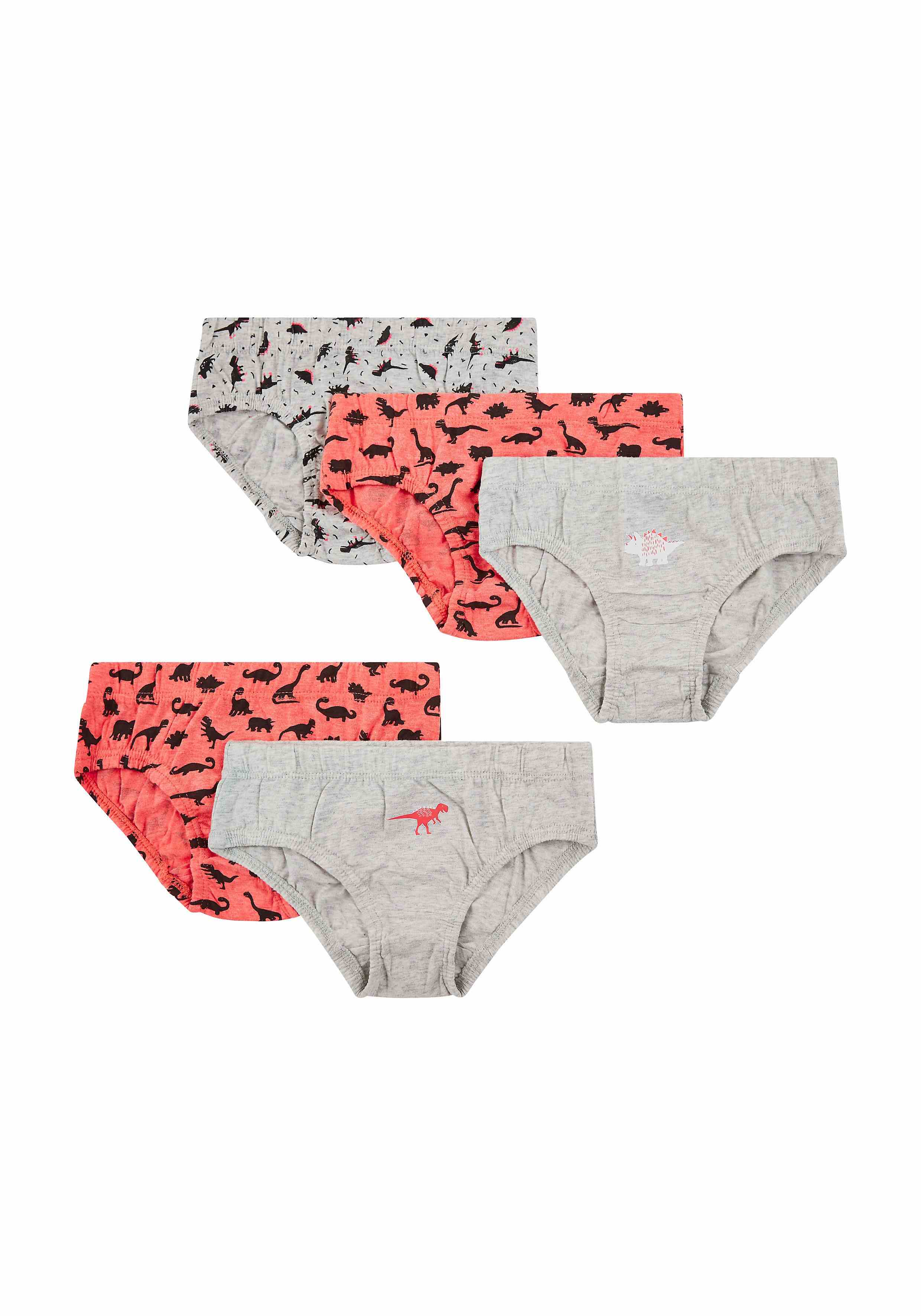 Boys Dinosaur Briefs - 5 Pack - Multicolor