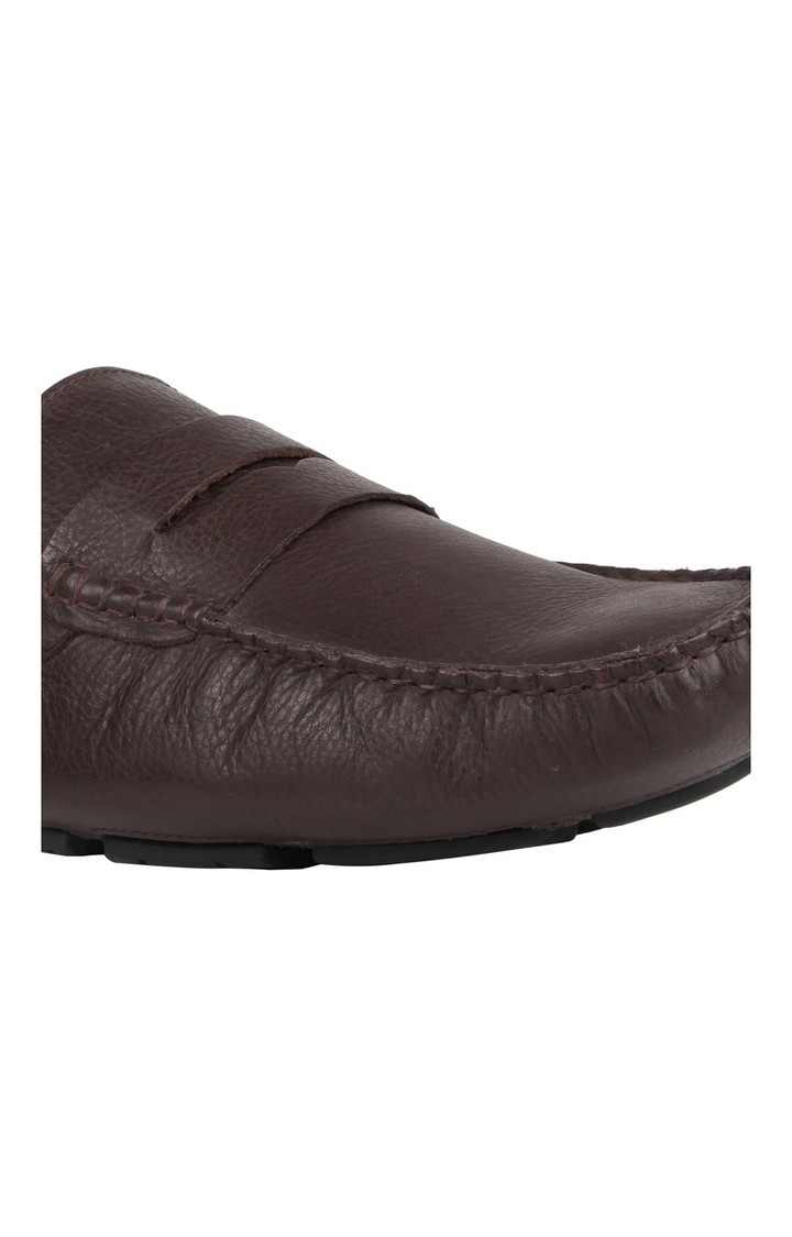 Droom Brown Driver Loafers
