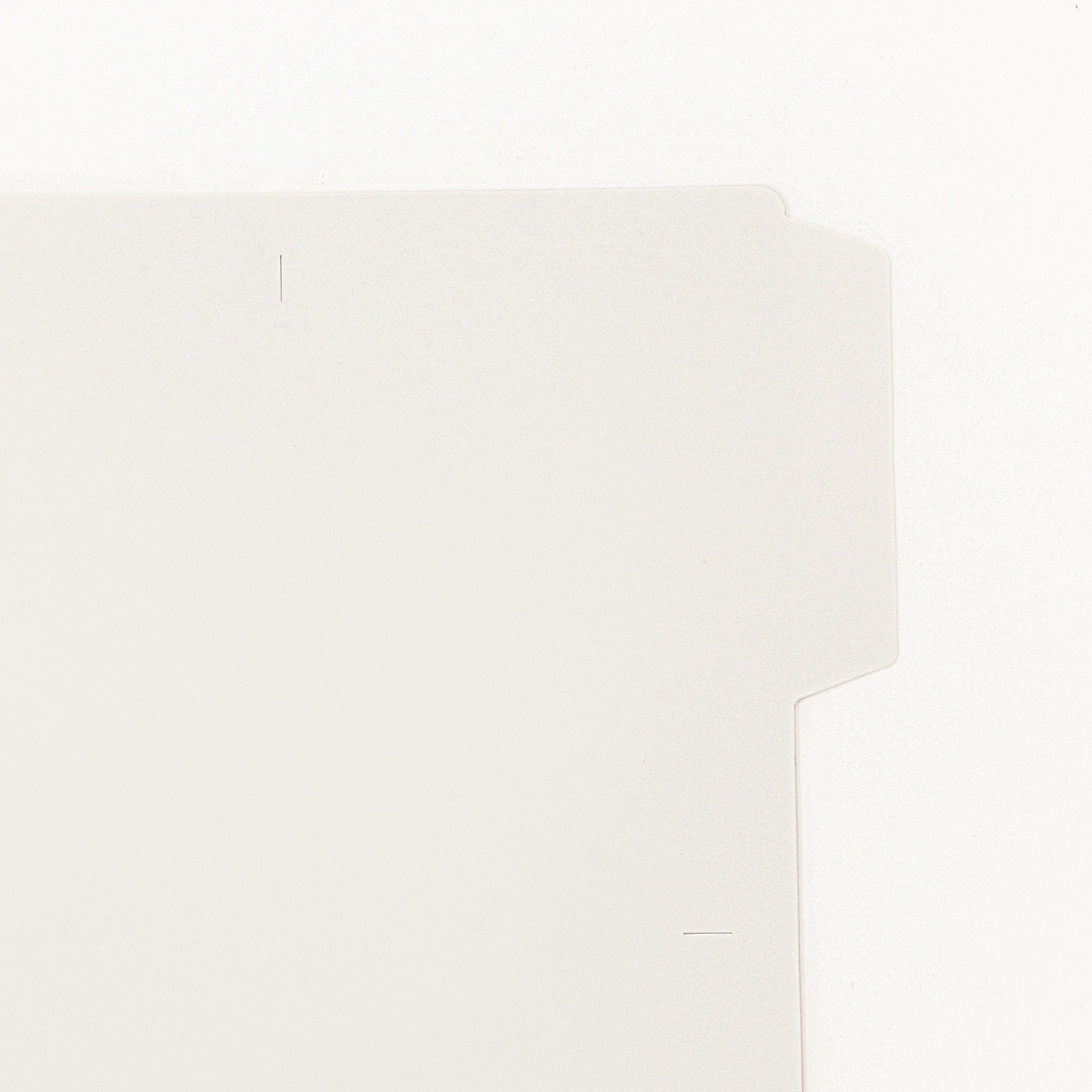MUJI | EXPANDED POLYPROPYLENE FILE FOLDER