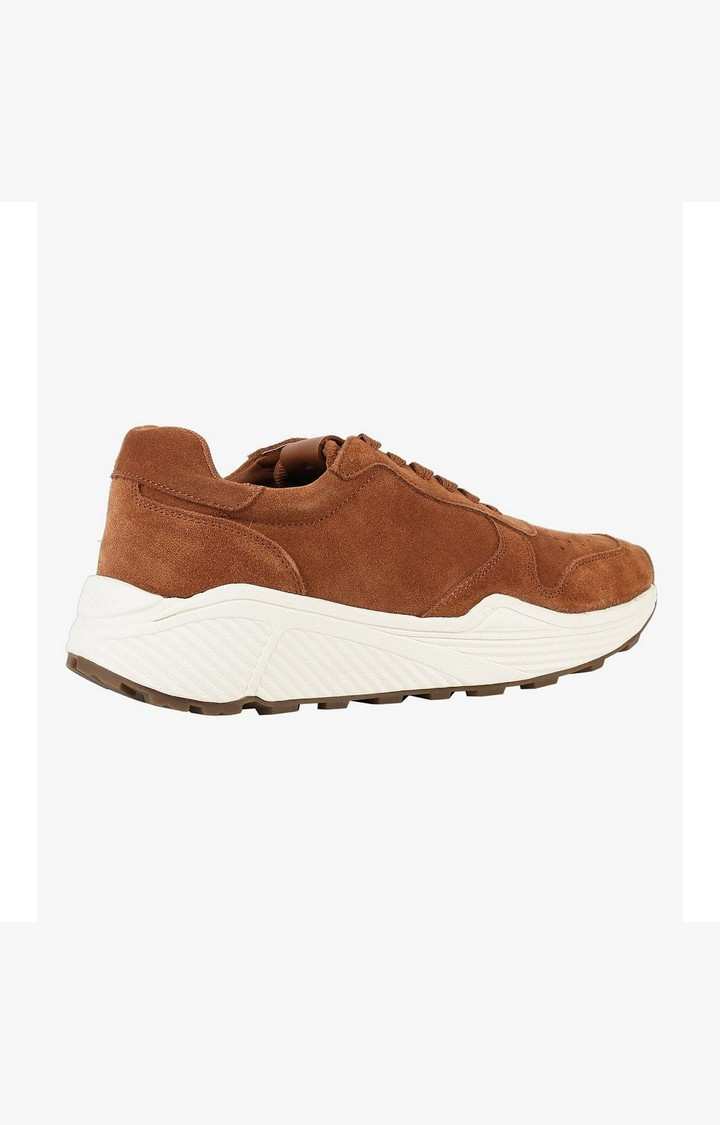 Sardan Brown Sneakers